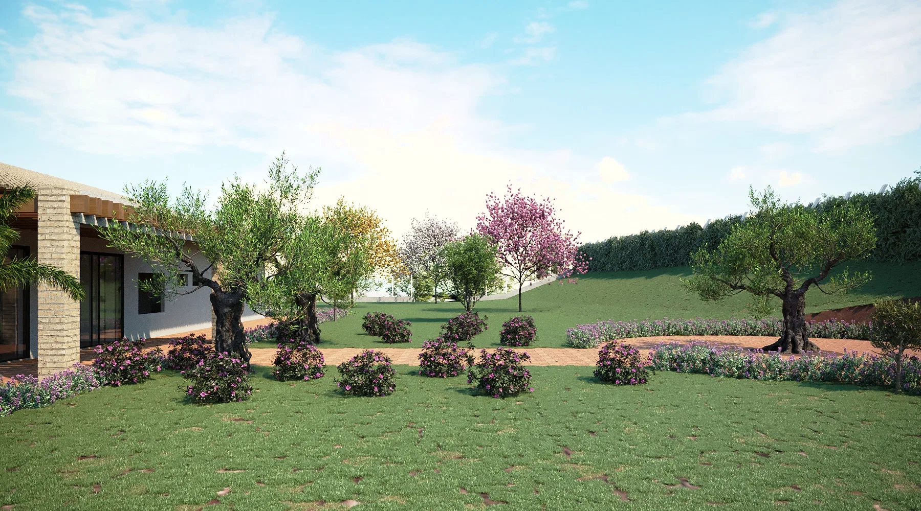 A broad lawn with olive trees, flowering shrubs and pink-blossomed trees, backed by the house with its pergola and the wooded slope.