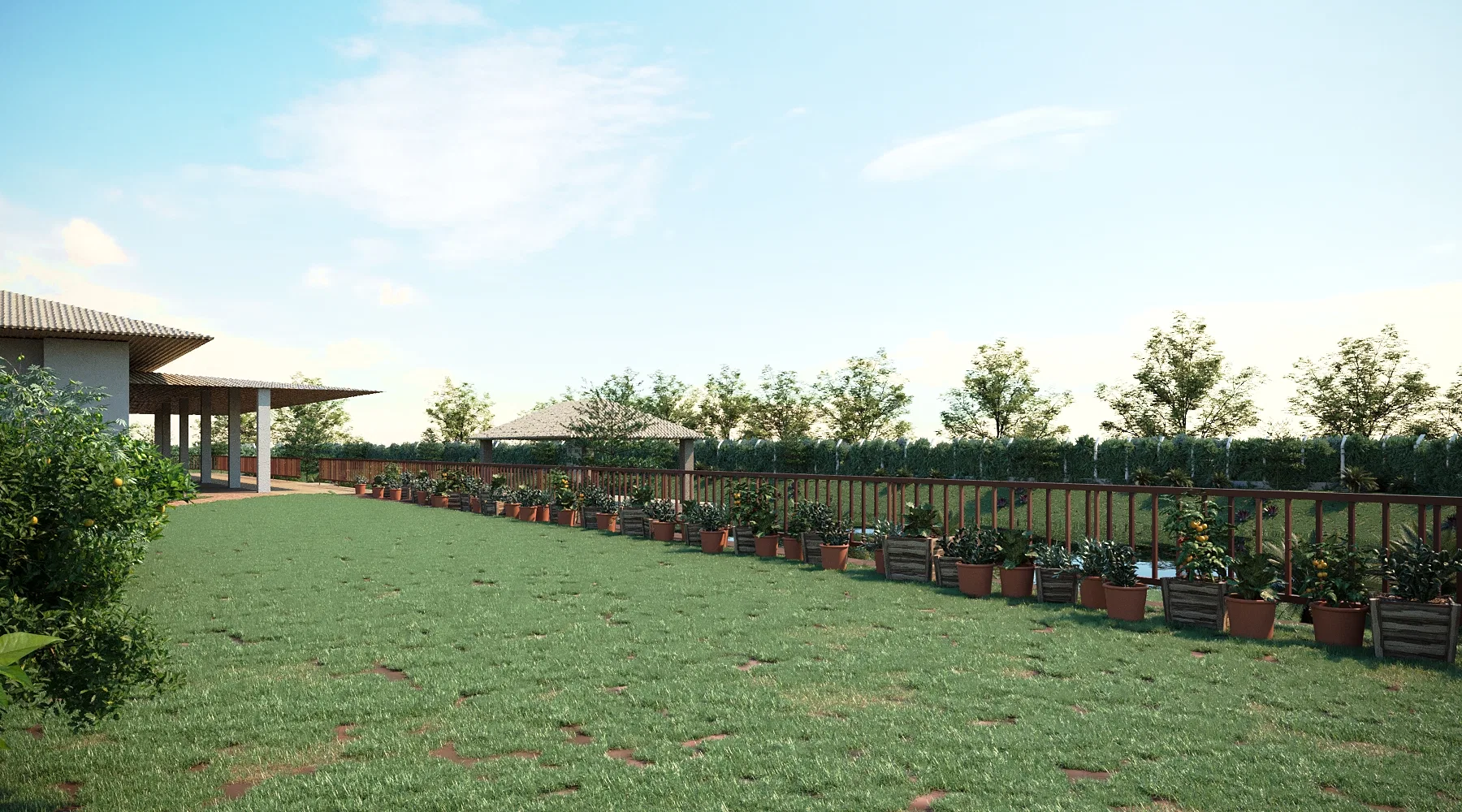 A row of pots and fruit saplings in timber planters aligned along the fence, with a gazebo and veranda over the lawn.