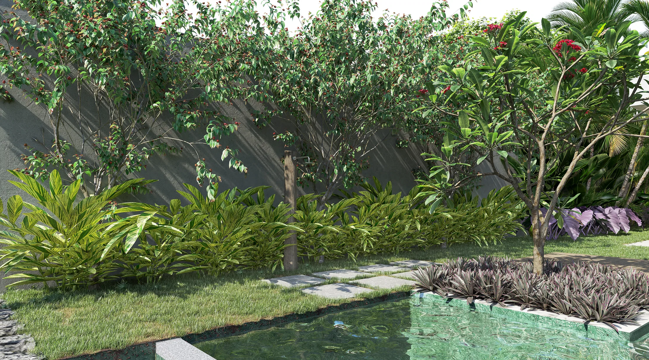 Green-tiled water mirror with stone stepping stones, a mass of shrubs and a small flowering tree against the rendered wall