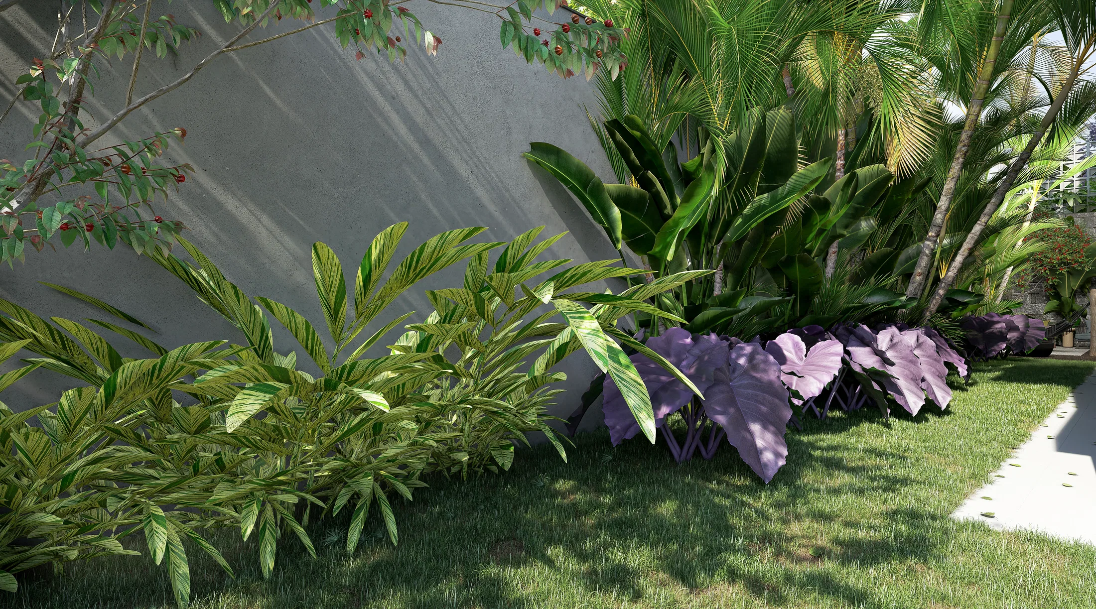 Planting border by the gray wall with variegated foliage, purple elephant-ear leaves and palms in dappled light over the lawn