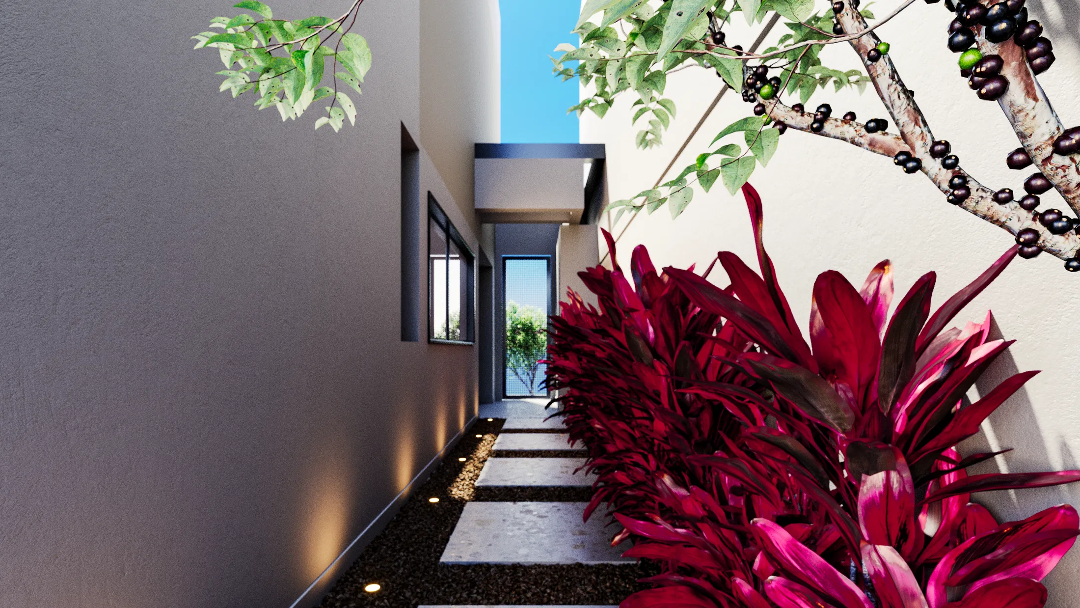 Narrow side garden with a stone path and ground lights, magenta foliage and a jabuticaba branch leading to the entrance door.