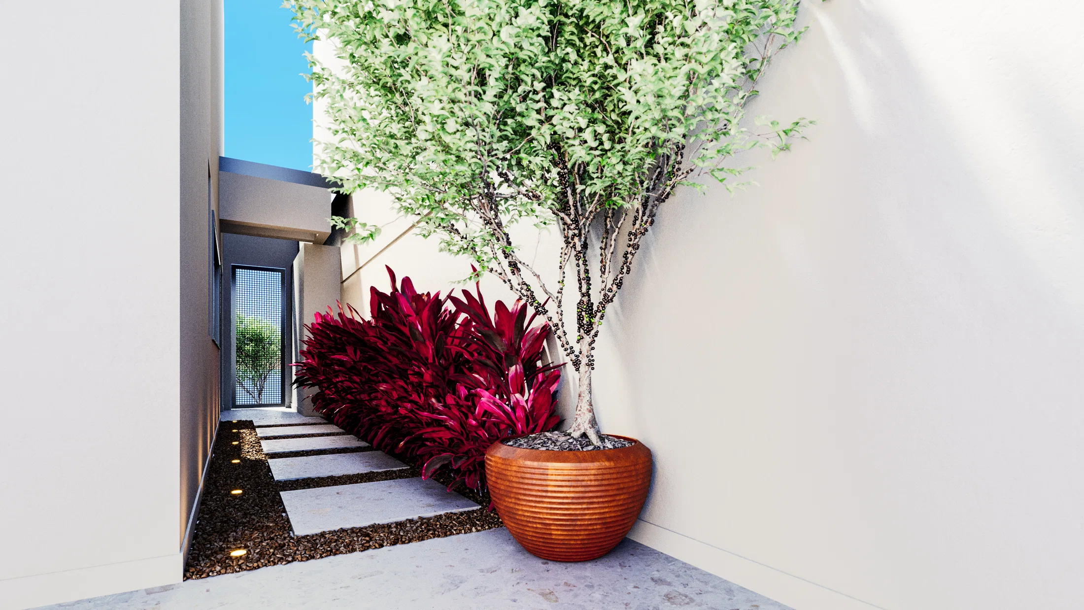 Side walkway with lit stone steps, a row of red foliage and a slender tree in a terracotta pot against the white wall.