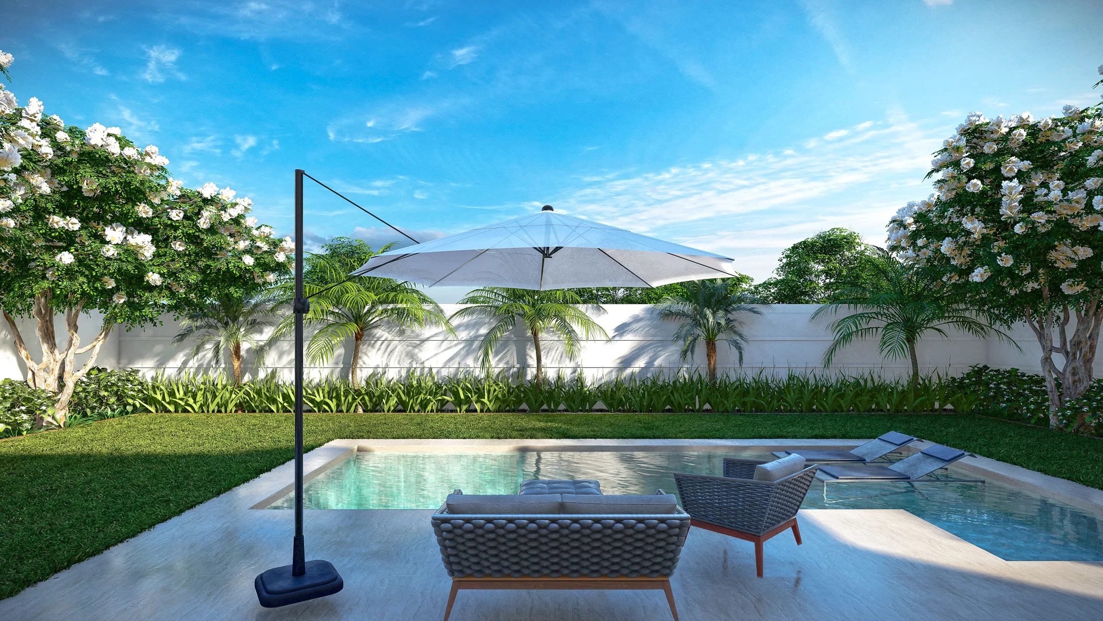 Pool area with a white cantilever umbrella, a woven sofa and loungers, white flowering shrubs and palms along the wall