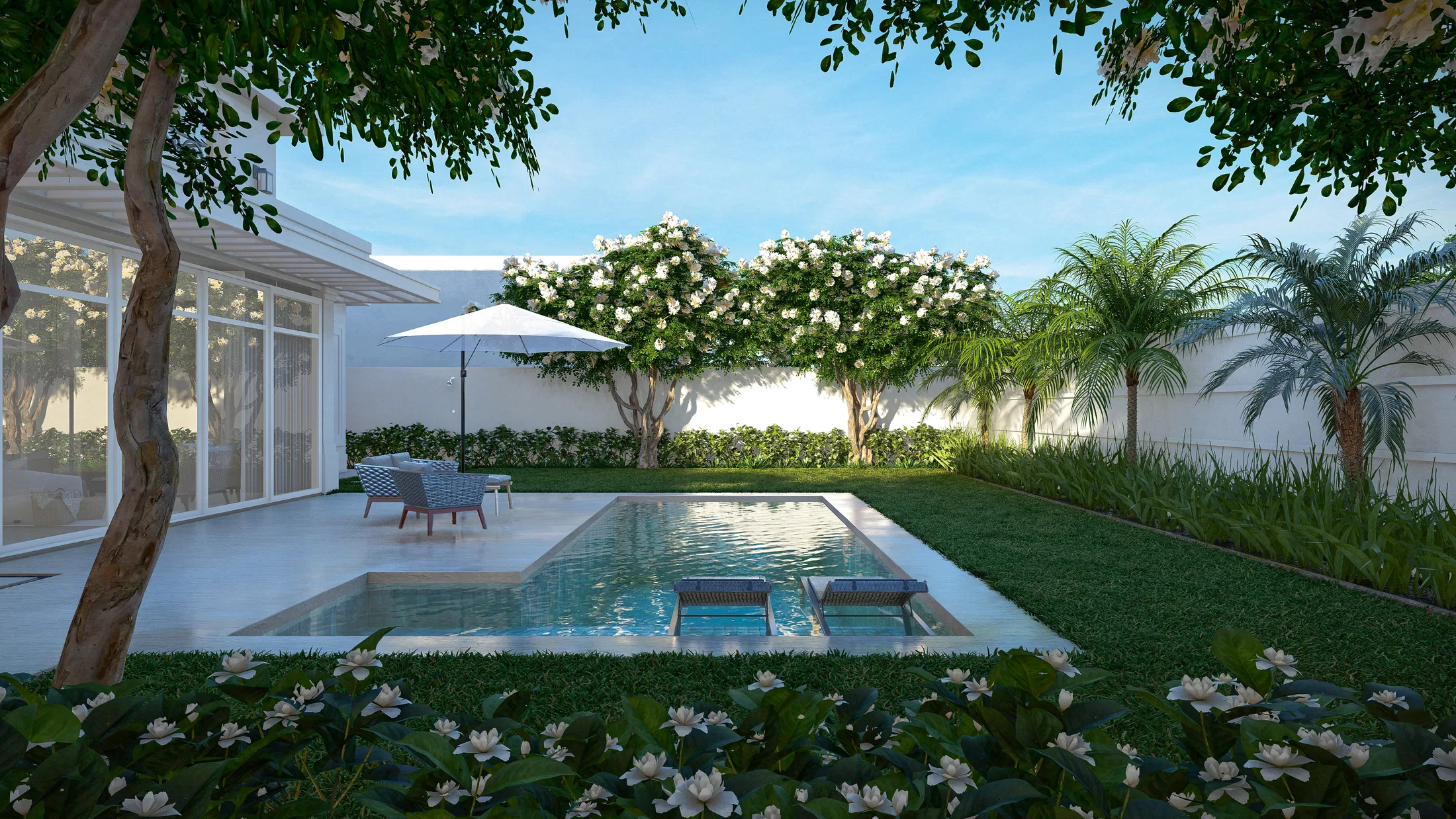 Pool with a stone deck and loungers, white standard roses and a palm in the background under a blue sky