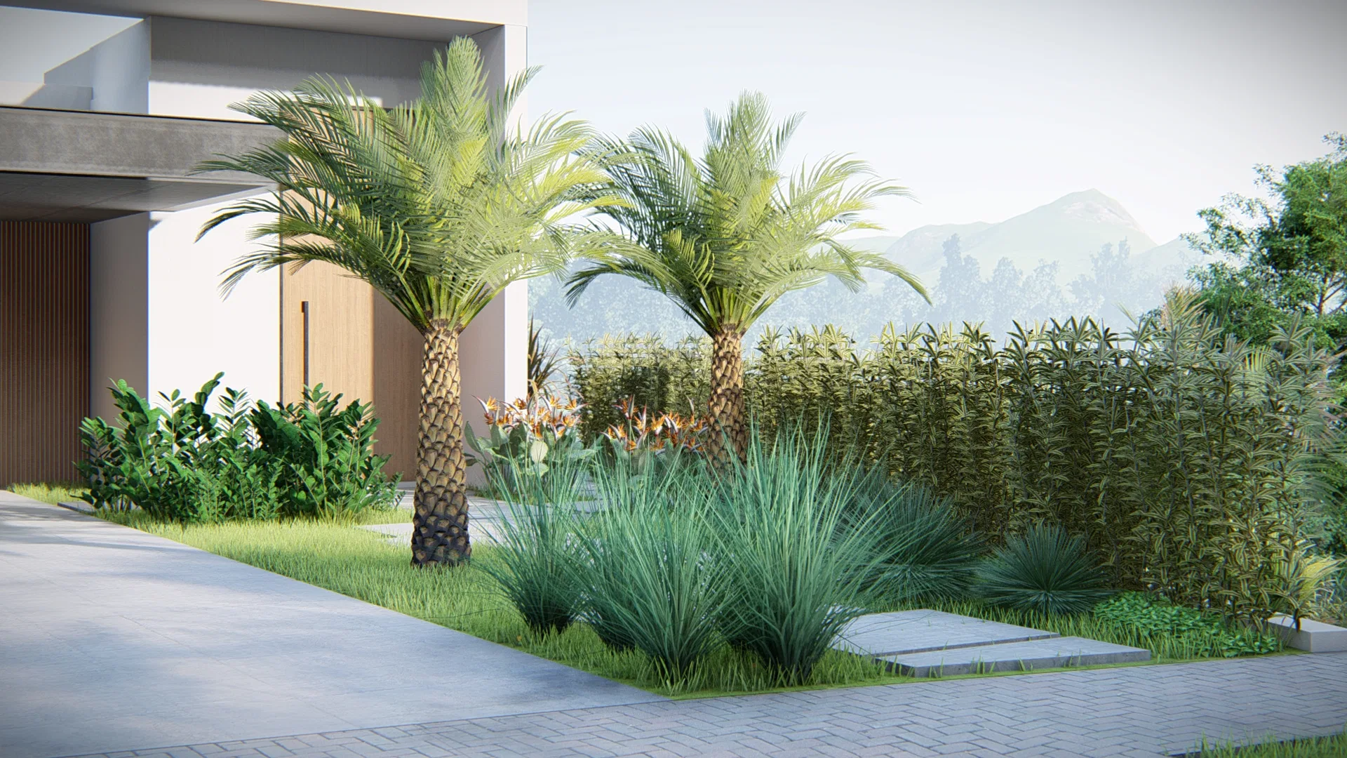 View of the front garden with two queen palms, a trimmed ornamental hedge and a foliage bed by the house facade
