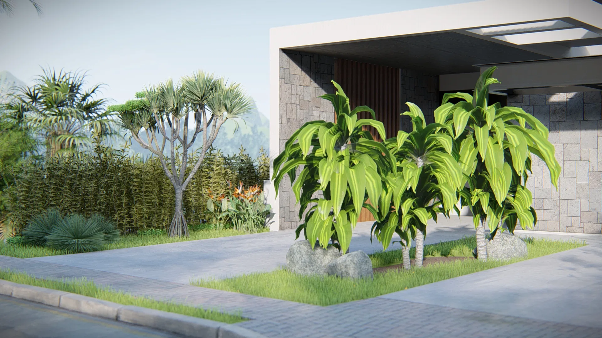 Driveway entrance with tall-leafed tropical potted plants beside a stone wall and a slatted wood door