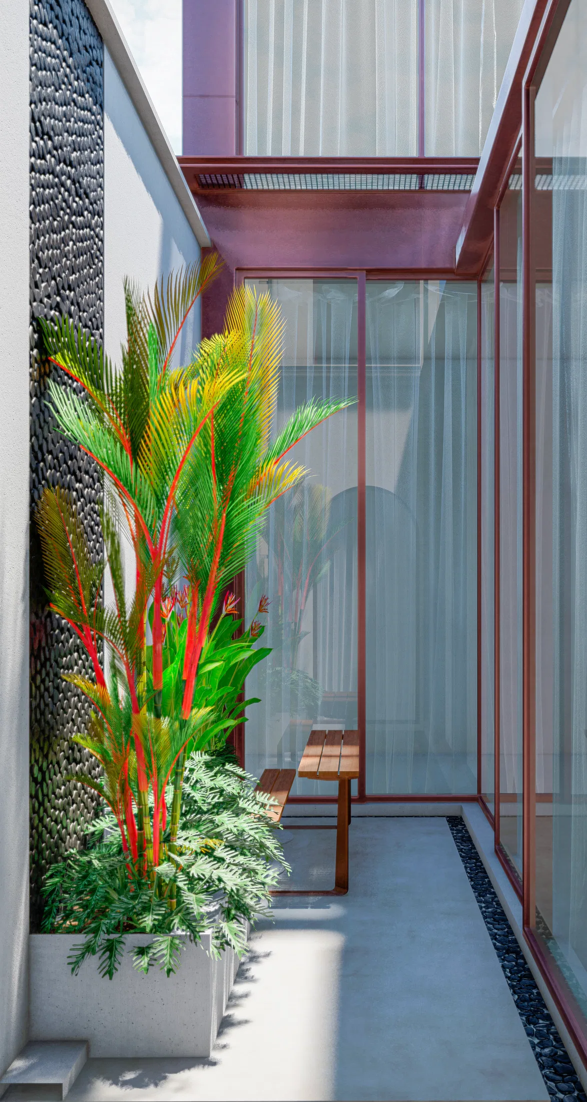 Narrow courtyard between glass walls, with a black-pebble panel on the left, red-stemmed palms and a wooden bench beneath sheer curtains