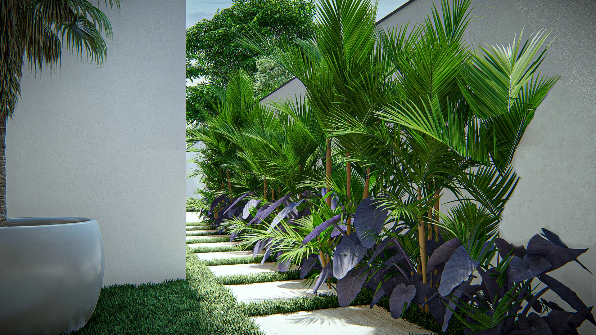 Side path of stepping stones over lawn, flanked by palms and dark colocasia foliage against white walls, with a pale planter in the garden.
