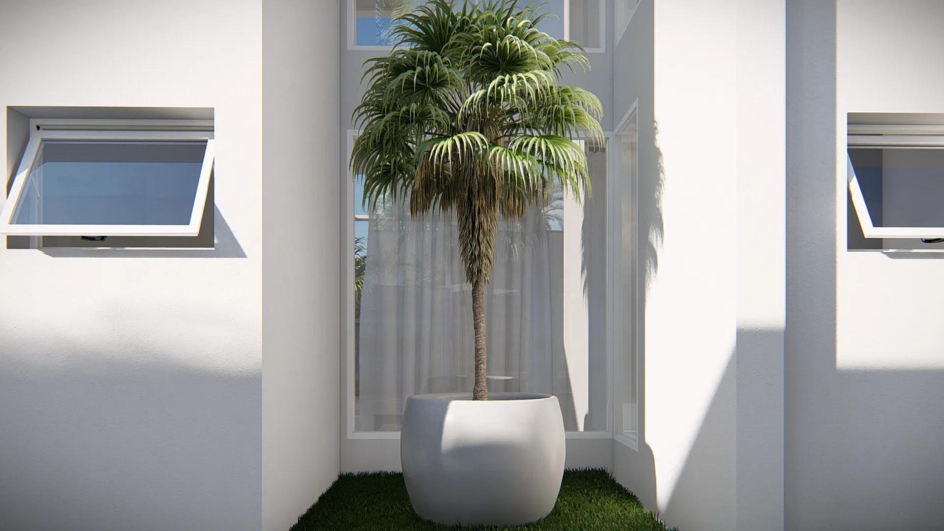Minimalist niche with a palm in a rounded white planter on a small lawn, framed by a white wall and awning windows.