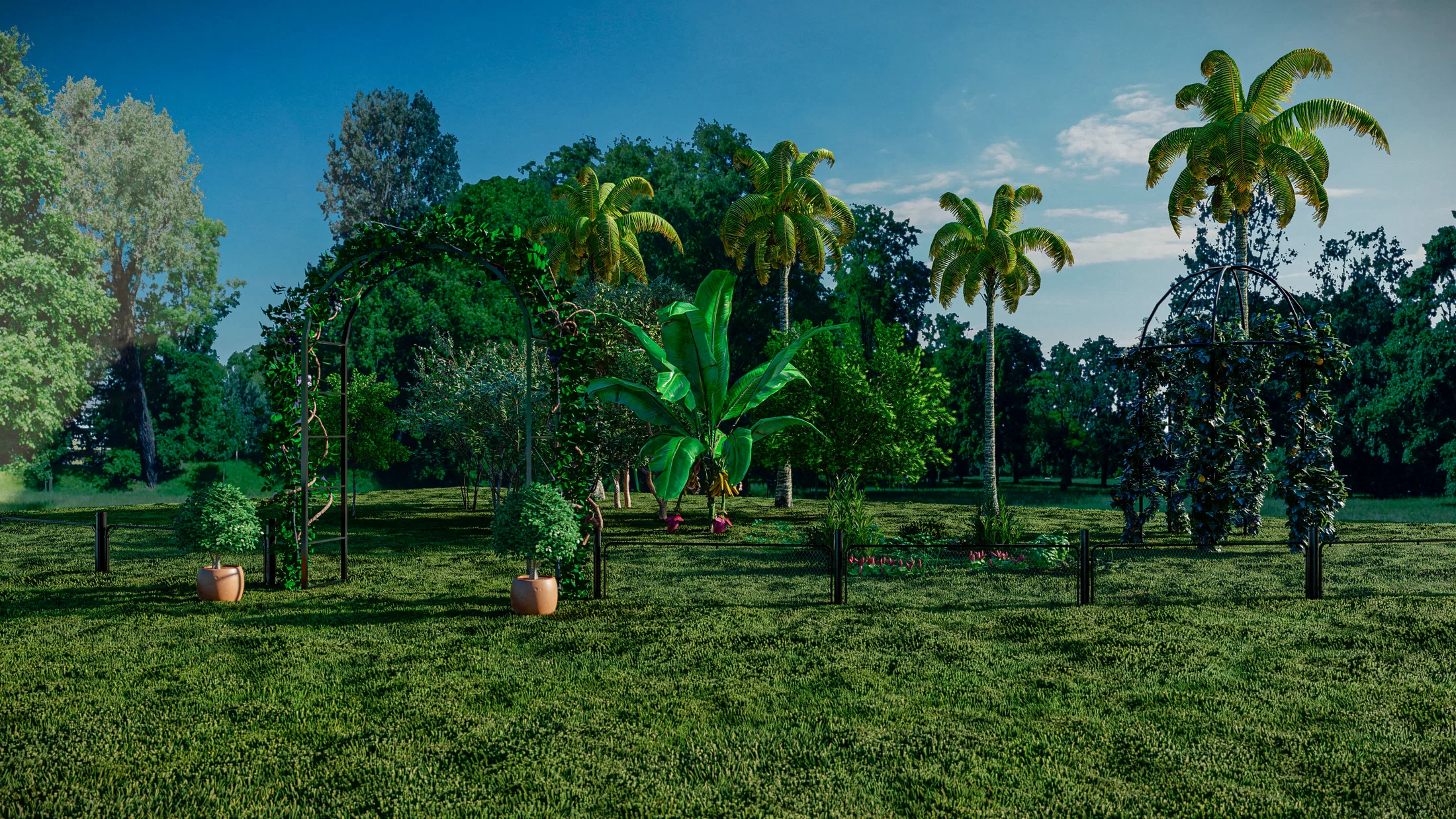 Decorative garden with flowering trellis arches, a banana plant and palm trees set across an open lawn