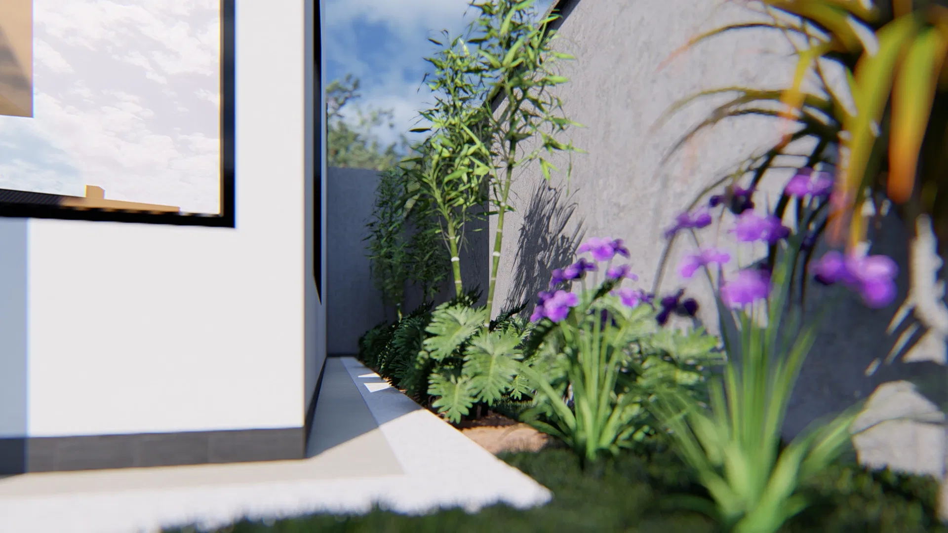 Bed of bamboo and purple iris flowers against a textured concrete wall, beside a glass window opening