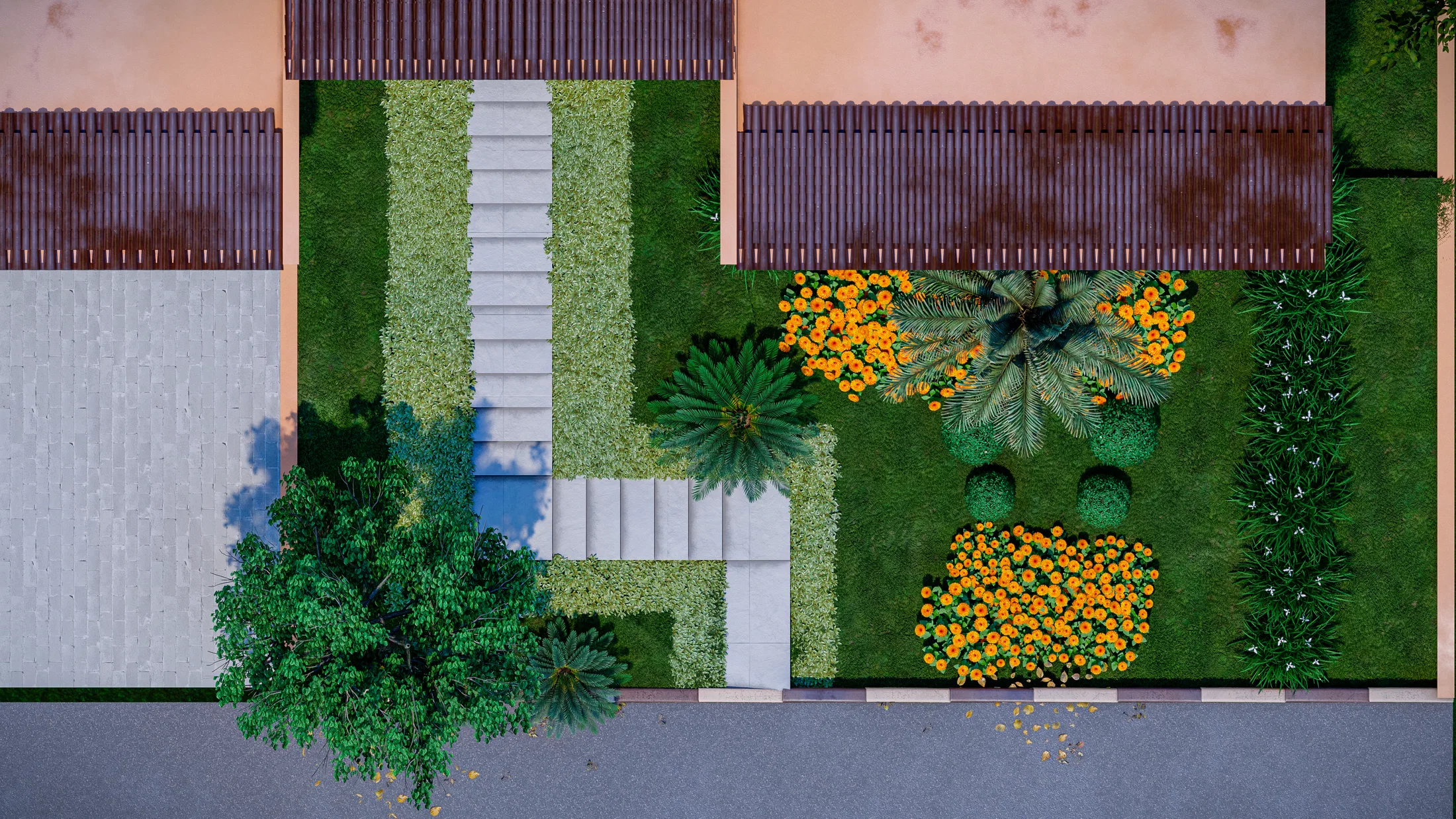 Top-down plan of the front garden, with a winding stepped path, a palm, a row of columnar plants and patches of yellow flowers.