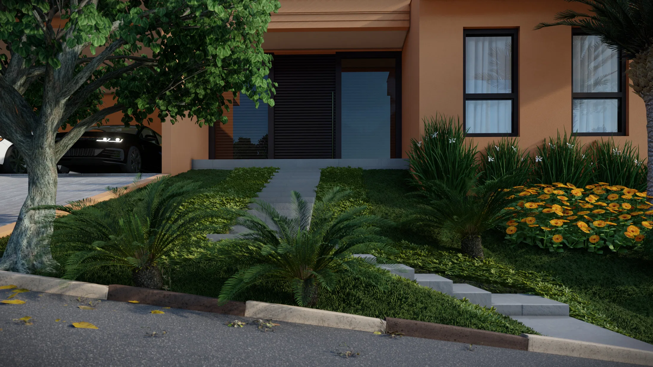 Low view with clumps of cycads on the lawn, a large tree on the left, a stone path and a yellow bed by the dark entrance.