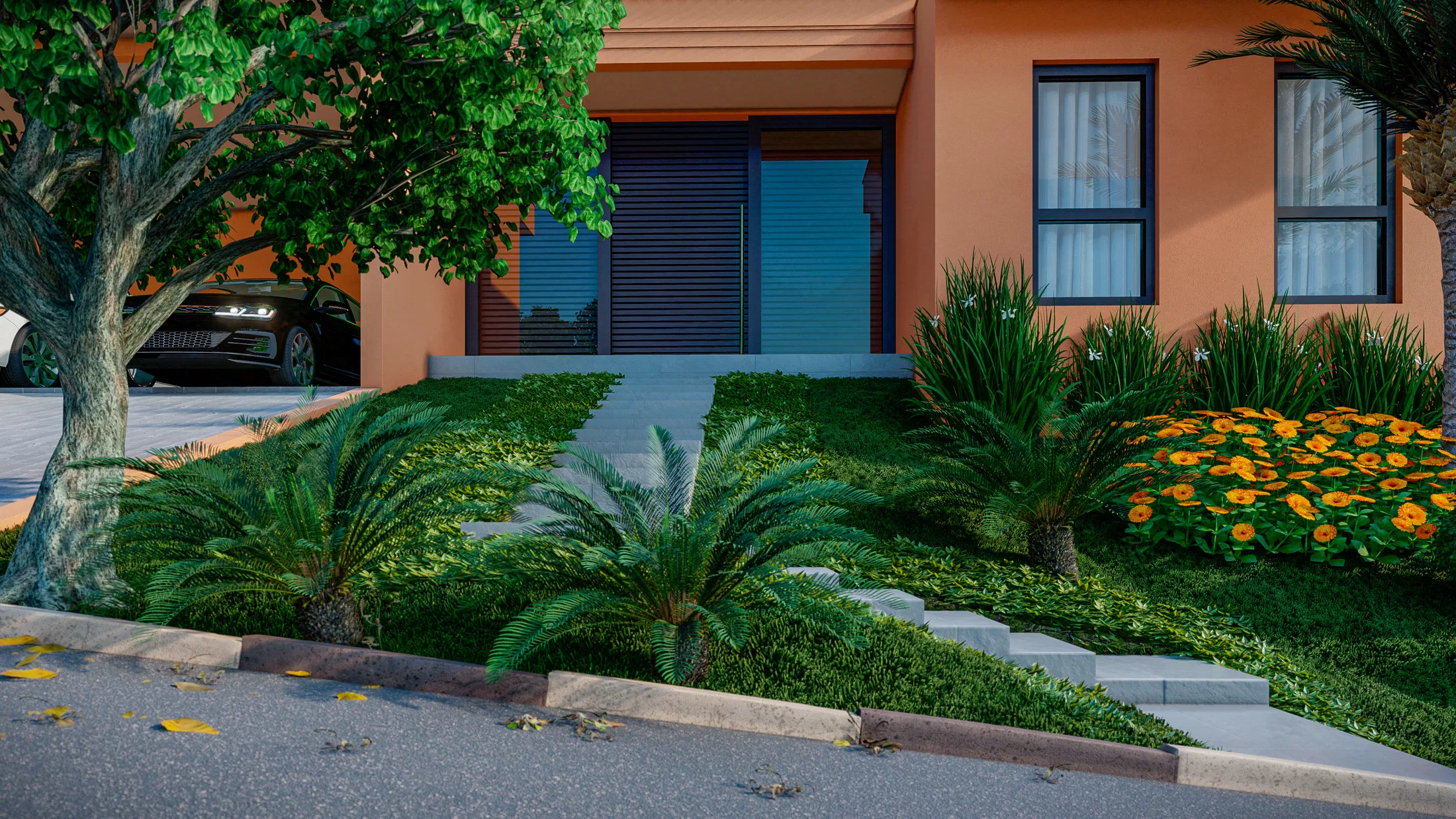 Detail of the lawn with cycads at the foot of a tree, a stone path toward the entrance and a dark car in the carport behind.