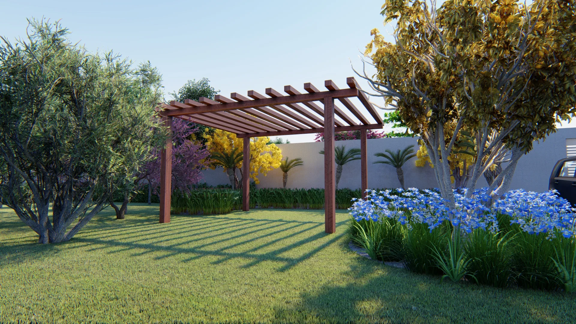Timber pergola on the lawn, with a bed of blue agapanthus, a yellow-flowering tree and flowering shrubs by the wall