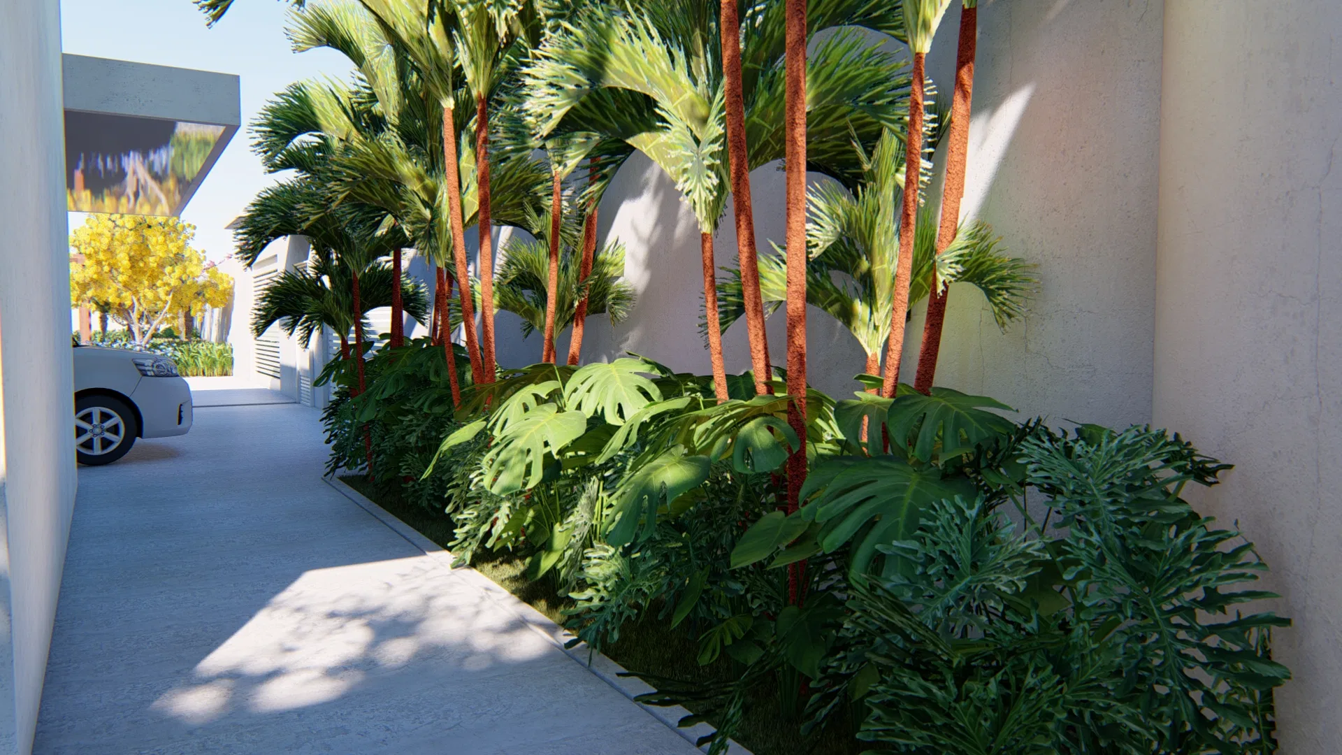 Garage access lined with red-trunked palms and split-leaf ground cover, with a vehicle parked alongside