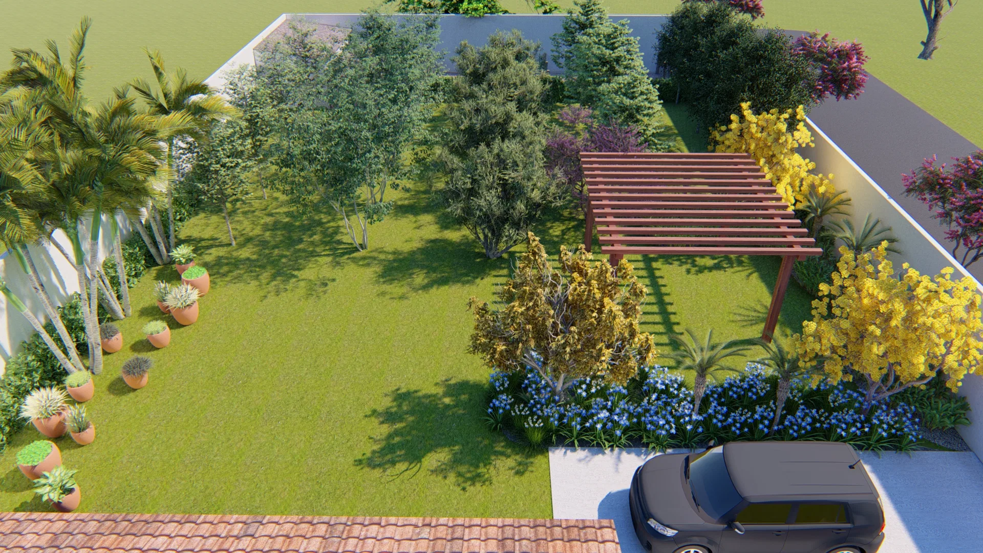 Aerial view of the backyard with a broad lawn, a timber pergola, terracotta pots aligned along the wall and beds of yellow and blue flowers