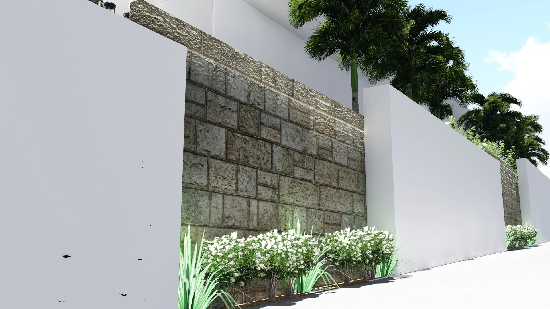 Dressed-stone wall with a mass of white flowers and clumps at its base, palms rising behind the pale walls