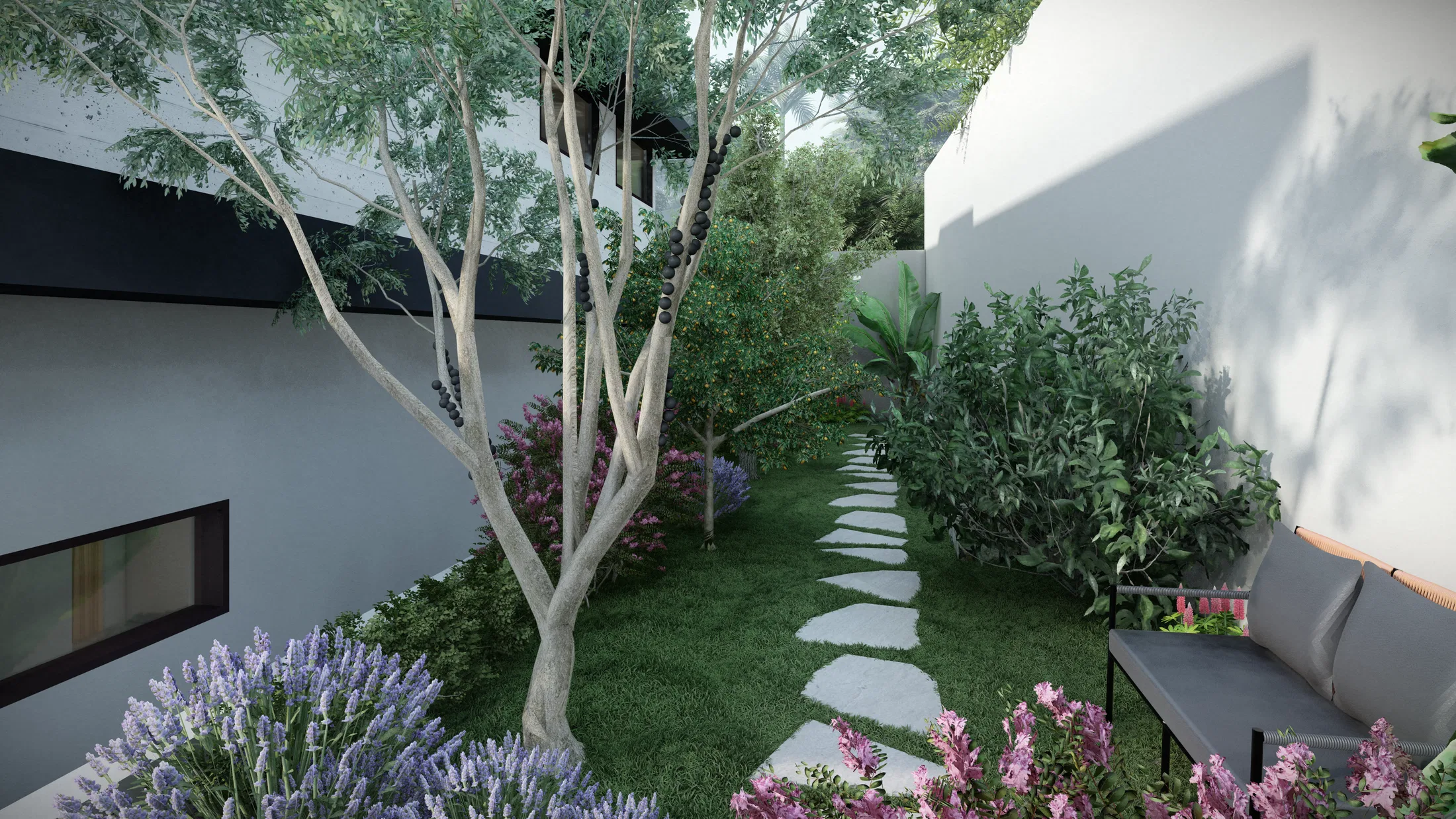 Narrow side garden with a multi-trunked tree, a stone-paver path through lawn and lavender planting beds