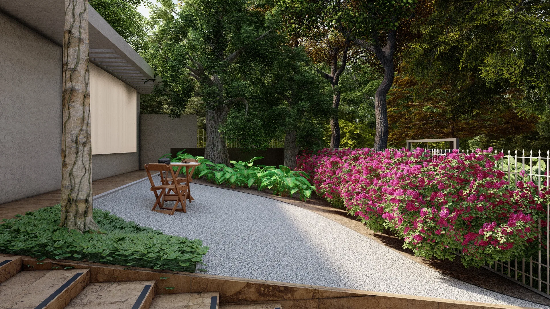 Patio with a gravel floor, folding wood chairs under a tree and a pink bougainvillea hedge alongside