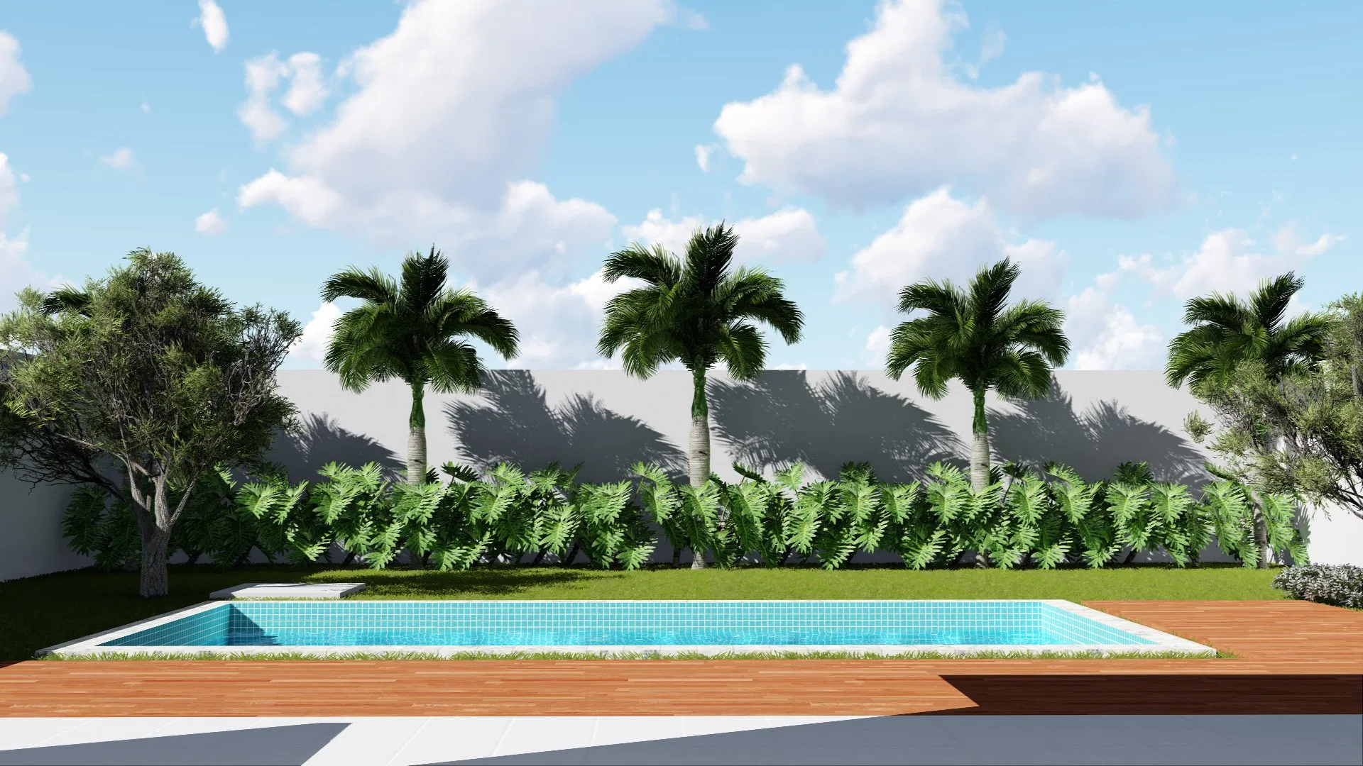 Blue-tiled pool with a timber deck and, behind it, a row of palm trees above a leafy hedge set against the white wall.