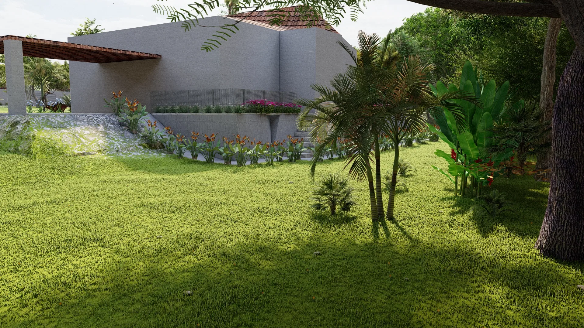 Lawned garden facing an exposed-concrete volume, with a bed of heliconias, young palms and banana plants and a tree trunk in the foreground