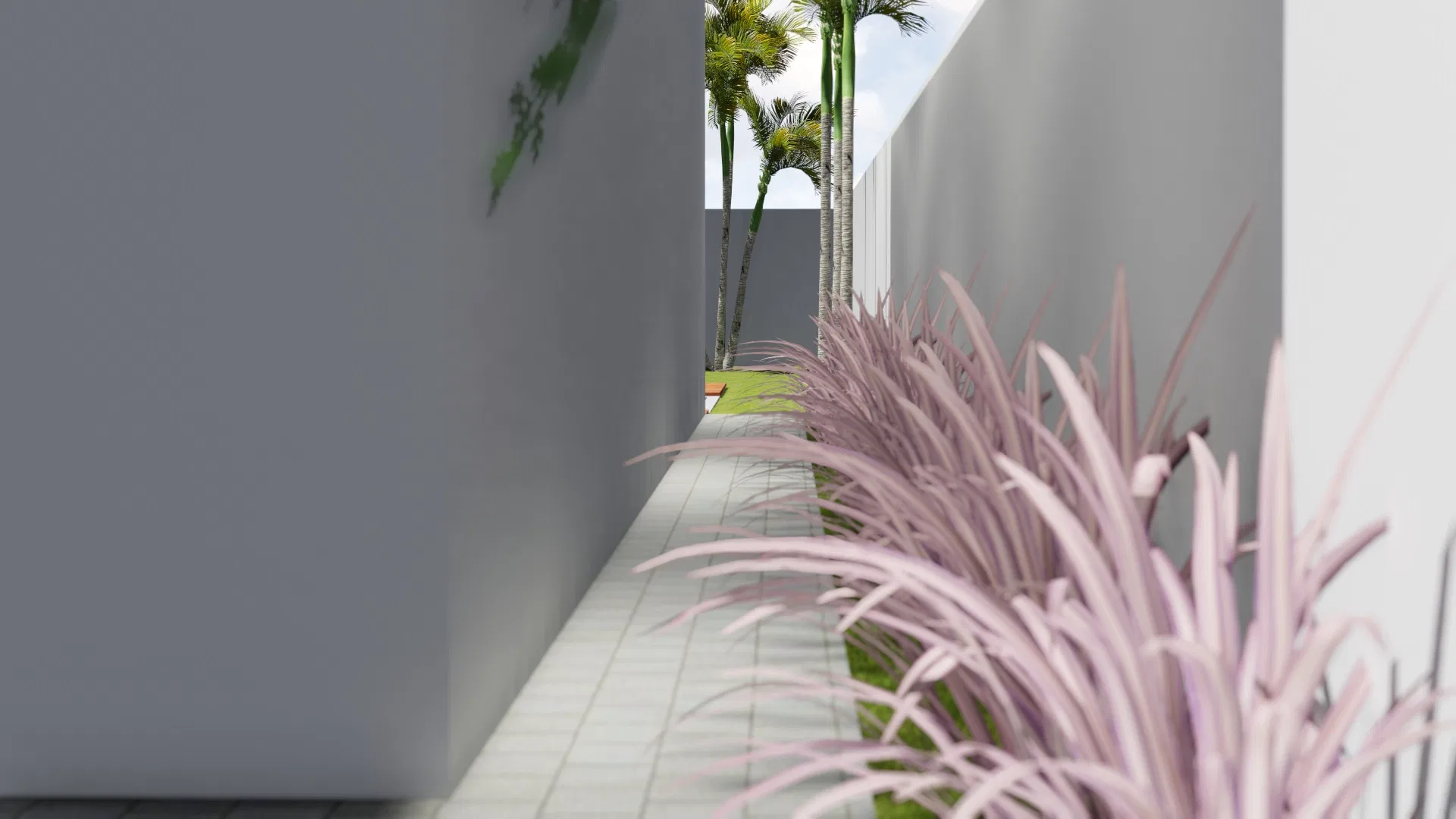 Narrow side corridor with paved slabs, purple-toned ornamental grasses in the foreground and palms beyond, between gray walls