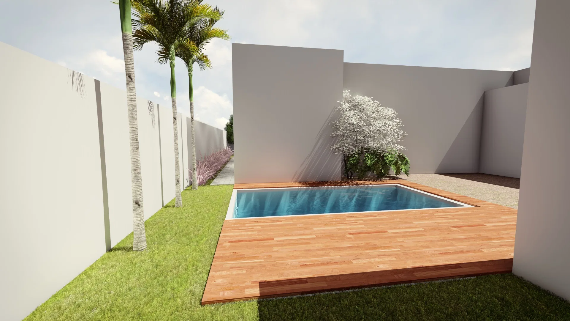 Patio with a square pool and wood deck, palms along the white wall and a white-flowering shrub in a raised bed