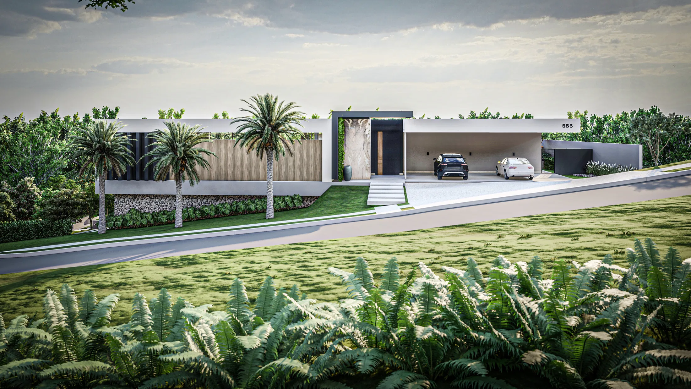 Wide frontage of a single-storey contemporary house, palms, hedges and two cars in the carport, over a grassed slope with ferns in front.