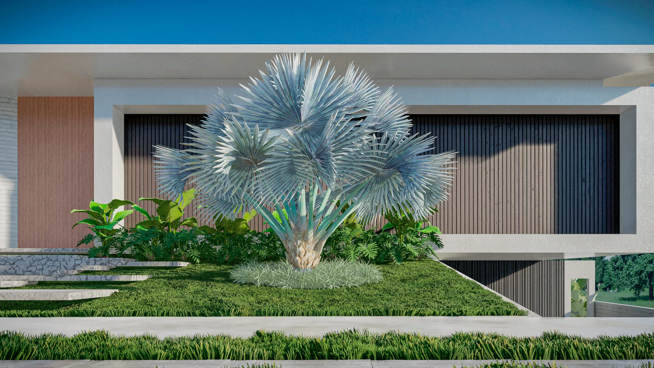 Fan-leafed blue palm featured in the front garden, among green foliage and a neatly trimmed lawn facing the facade.