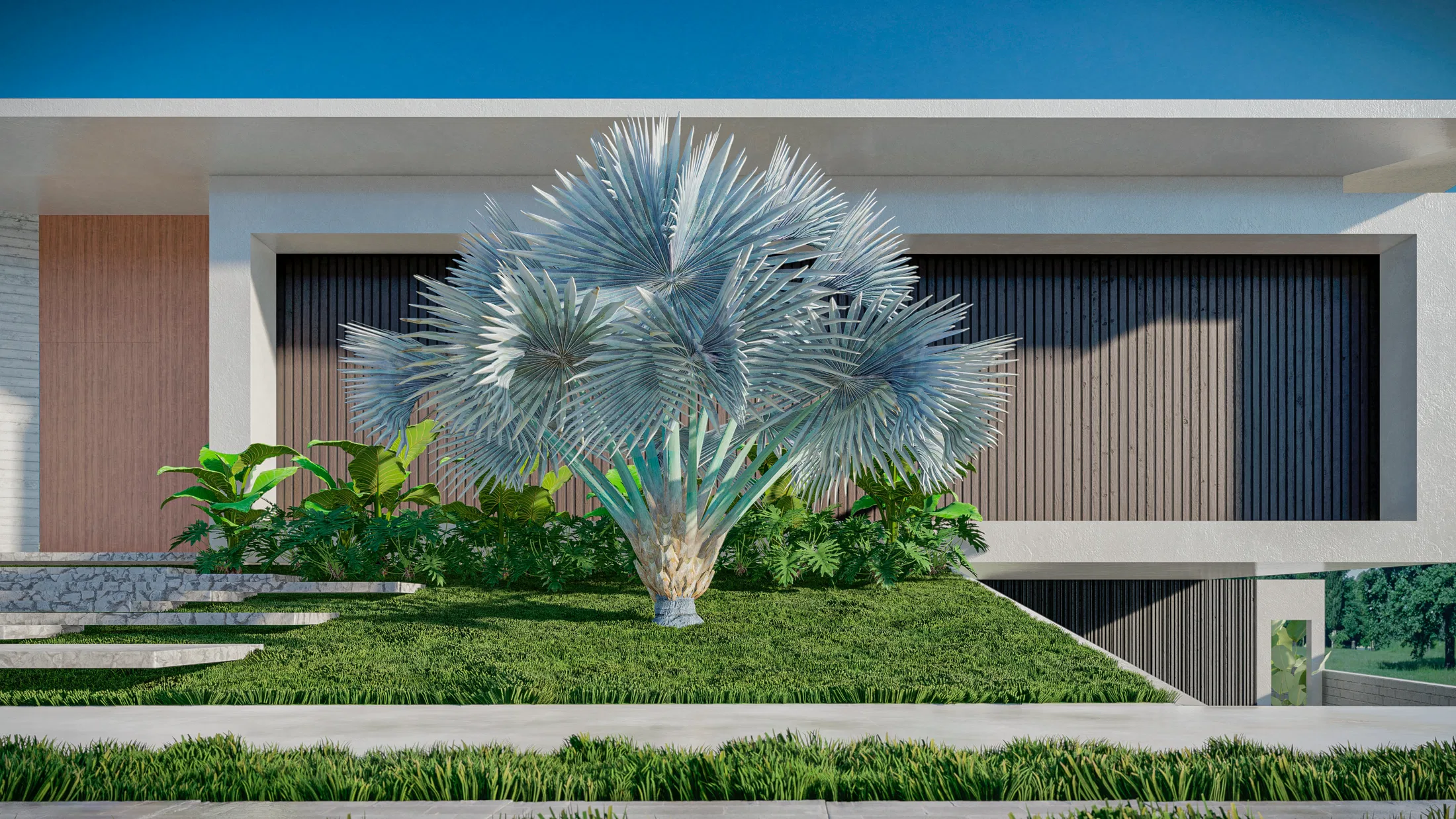 Close-up of the fan-leafed blue palm at the garden's center, silvery fronds standing out against the dark slatted facade panels.
