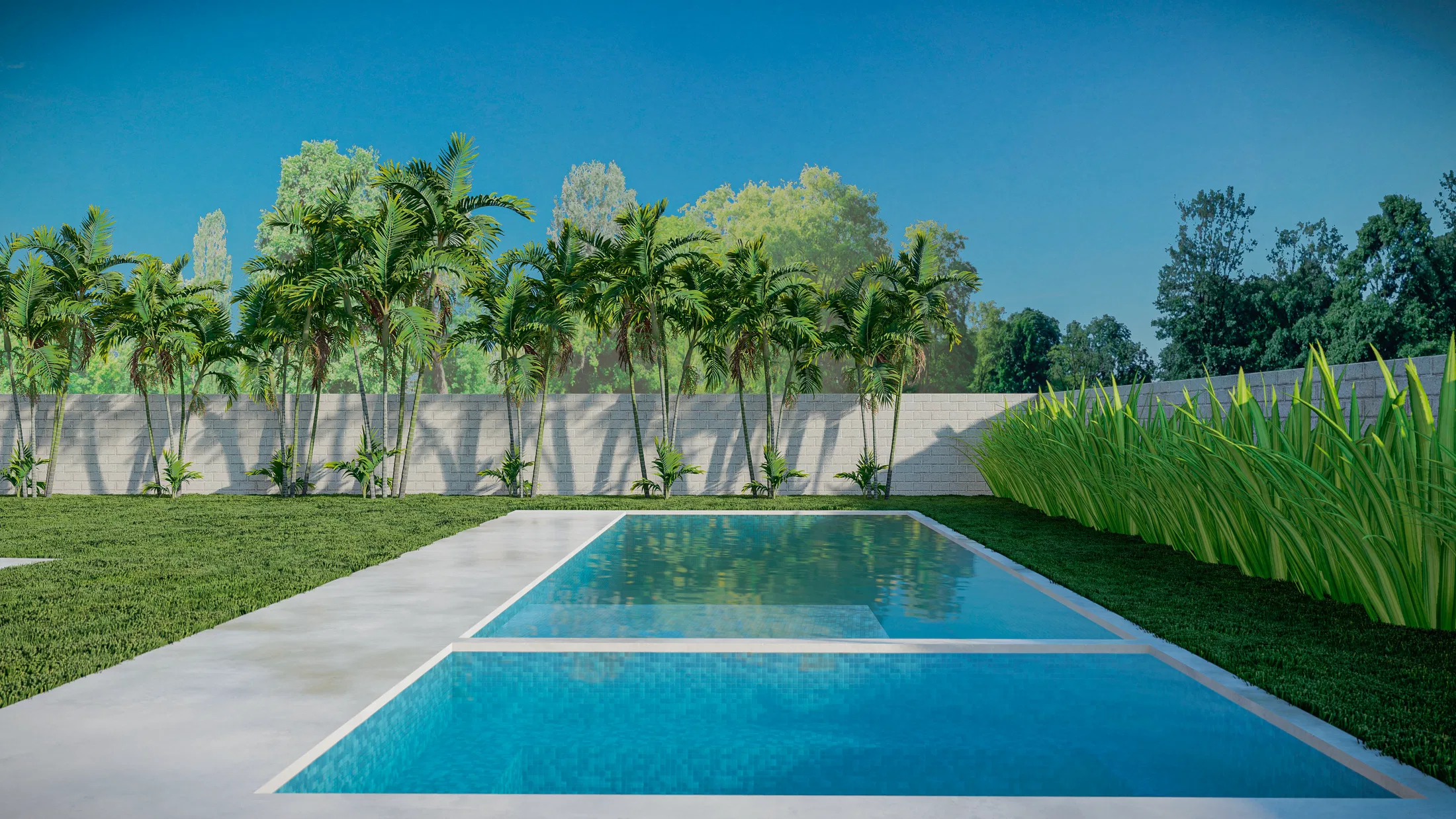 Wide view of a rectangular pool split into two sections, lined by palms along the wall and an ornamental-grass hedge on the other side.