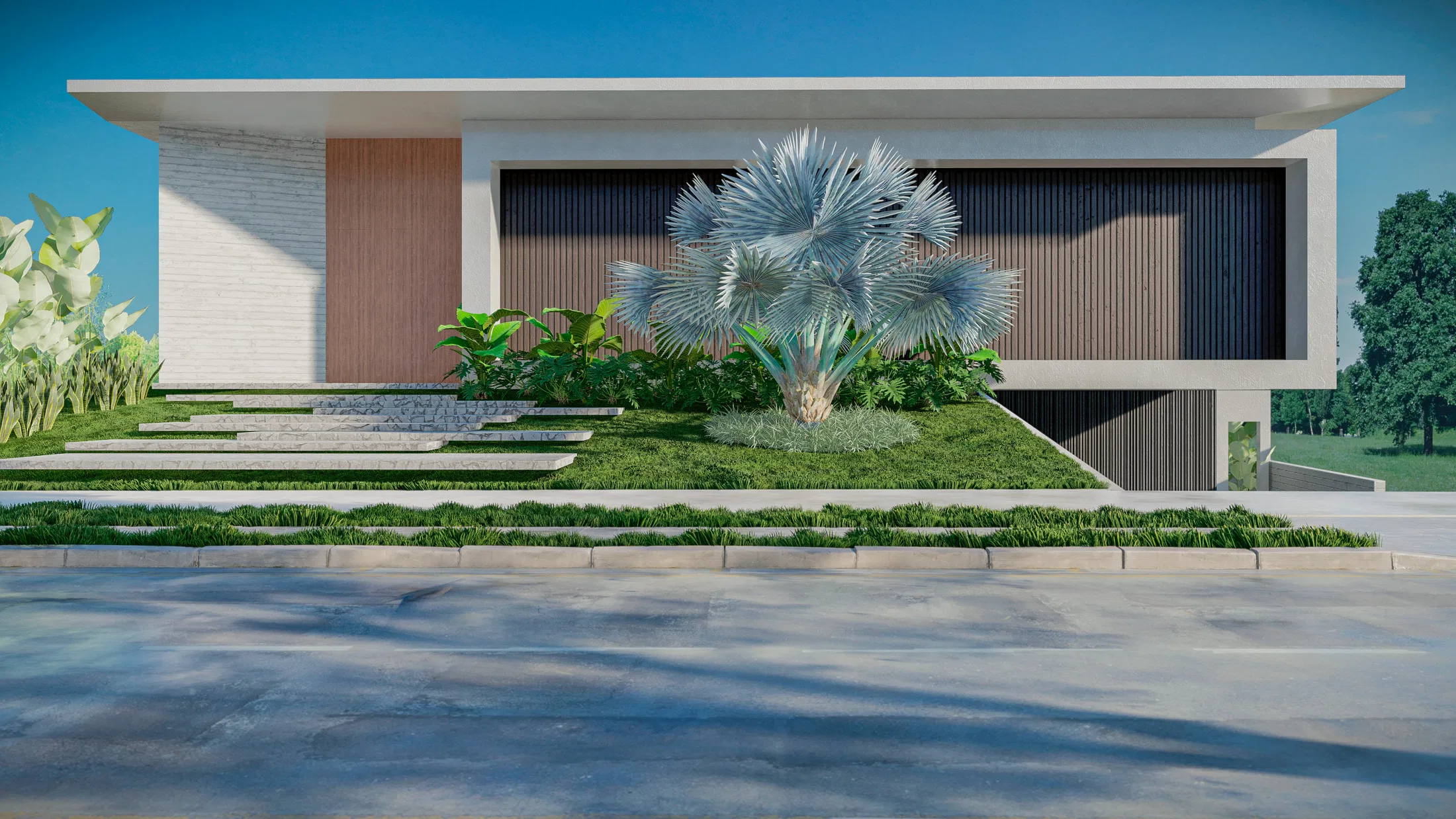 Contemporary house facade framed by a fan-leafed blue palm, with a white wall, dark slatted panels and beds of tropical foliage.