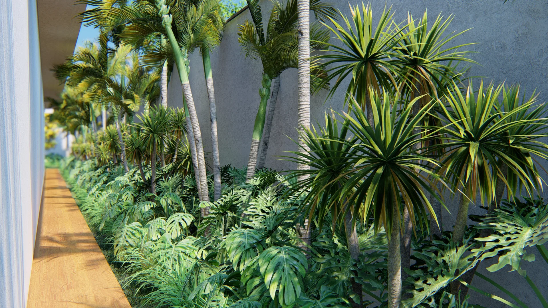 Perimeter corridor with a row of palms along the concrete wall, a tropical understory and a wood deck walkway