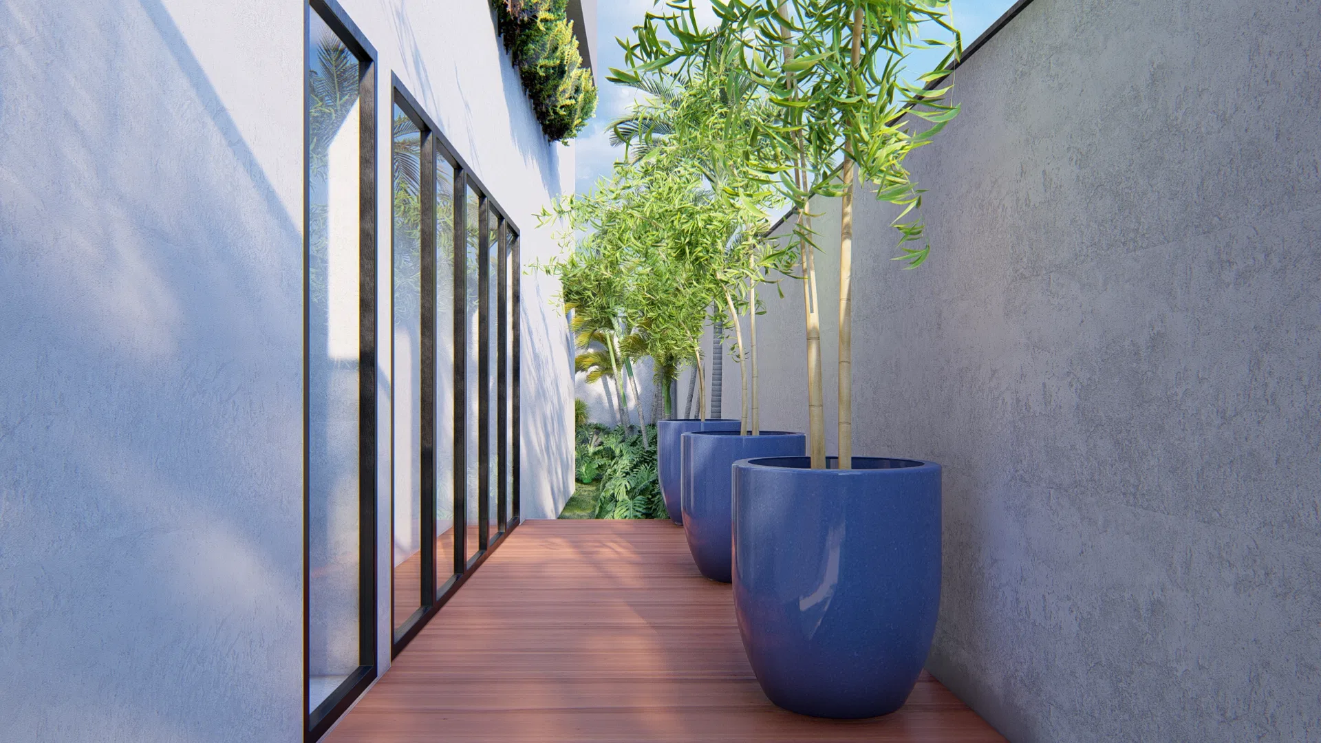 Side corridor with a deck floor, tall glossy blue planters holding bamboo and a vertical-garden panel between a white wall and concrete