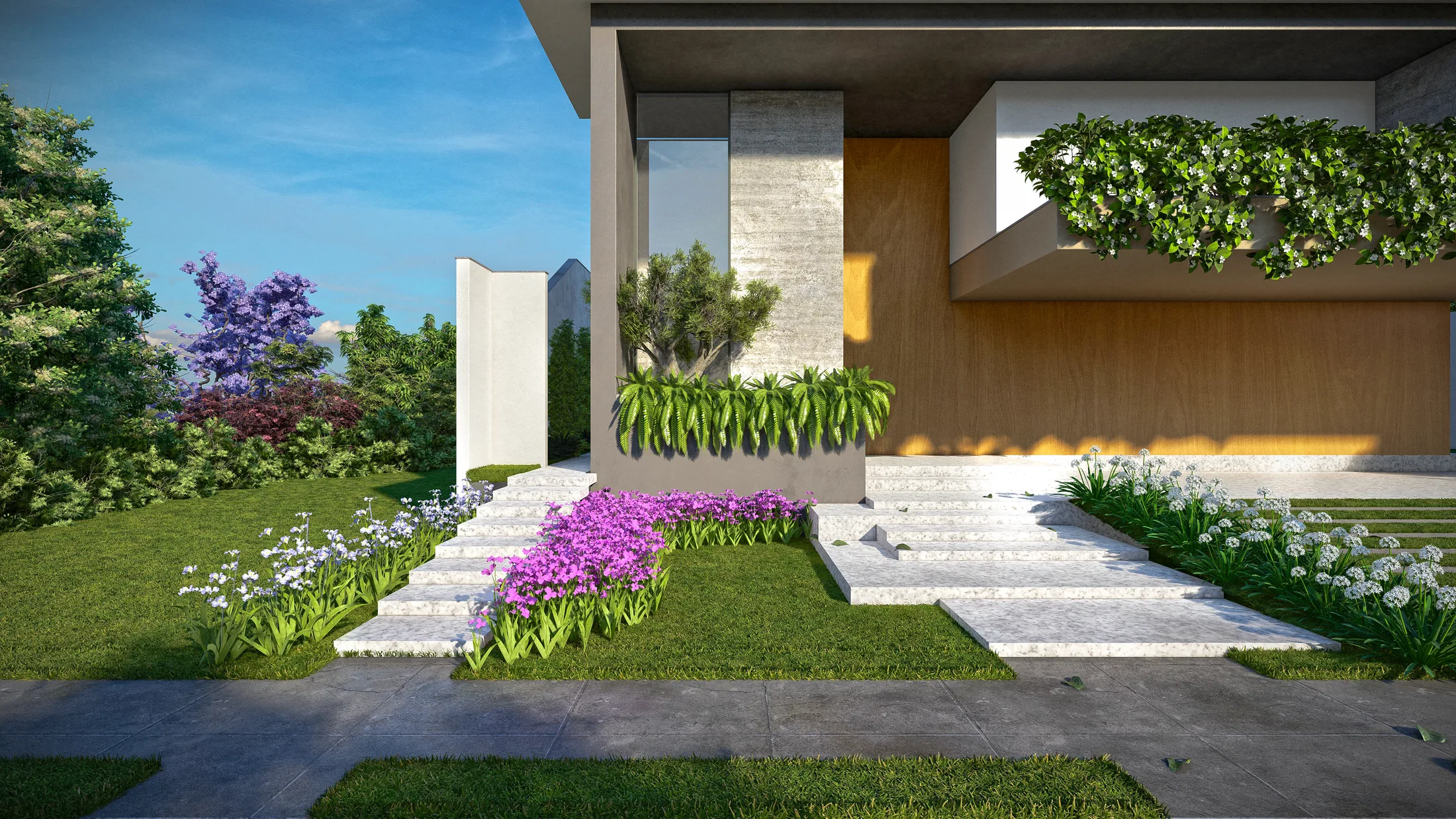 Entry garden with pale stone steps, purple and white blooms, an olive tree in a planter and a lilac-flowered tree behind.