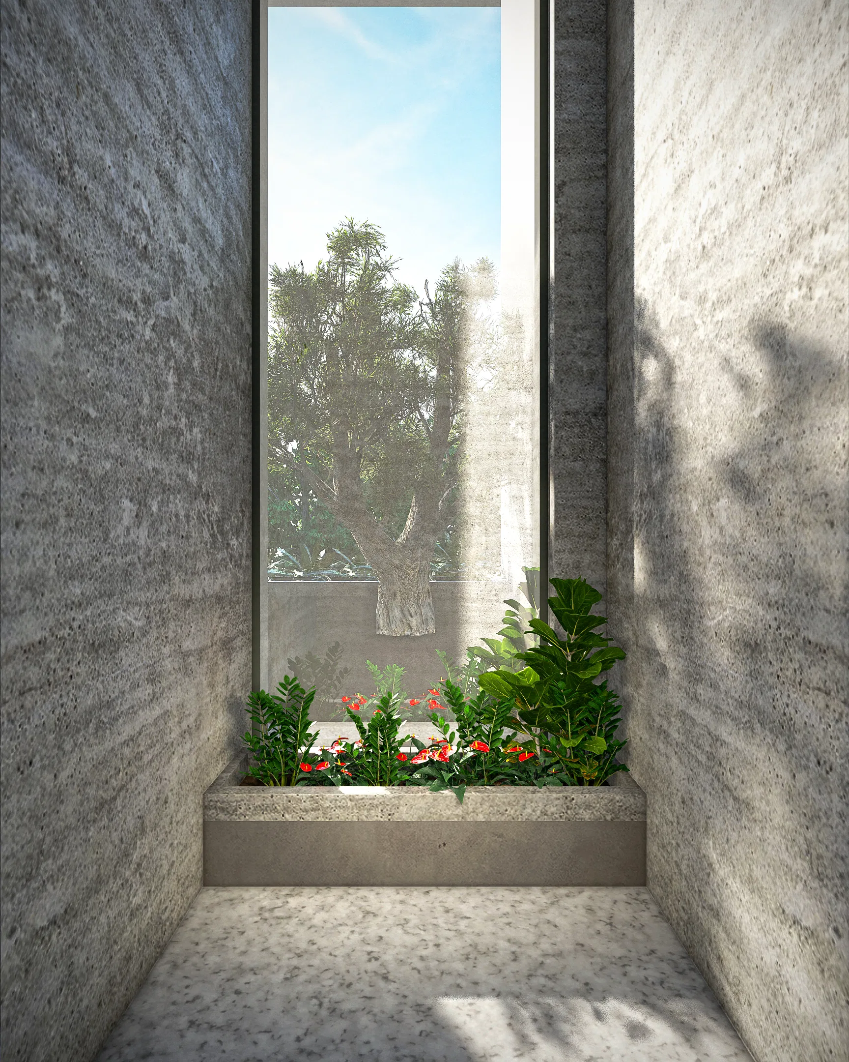 An interior concrete-walled recess framing a tall window, with a planter of red flowers and foliage and an olive tree seen outside.