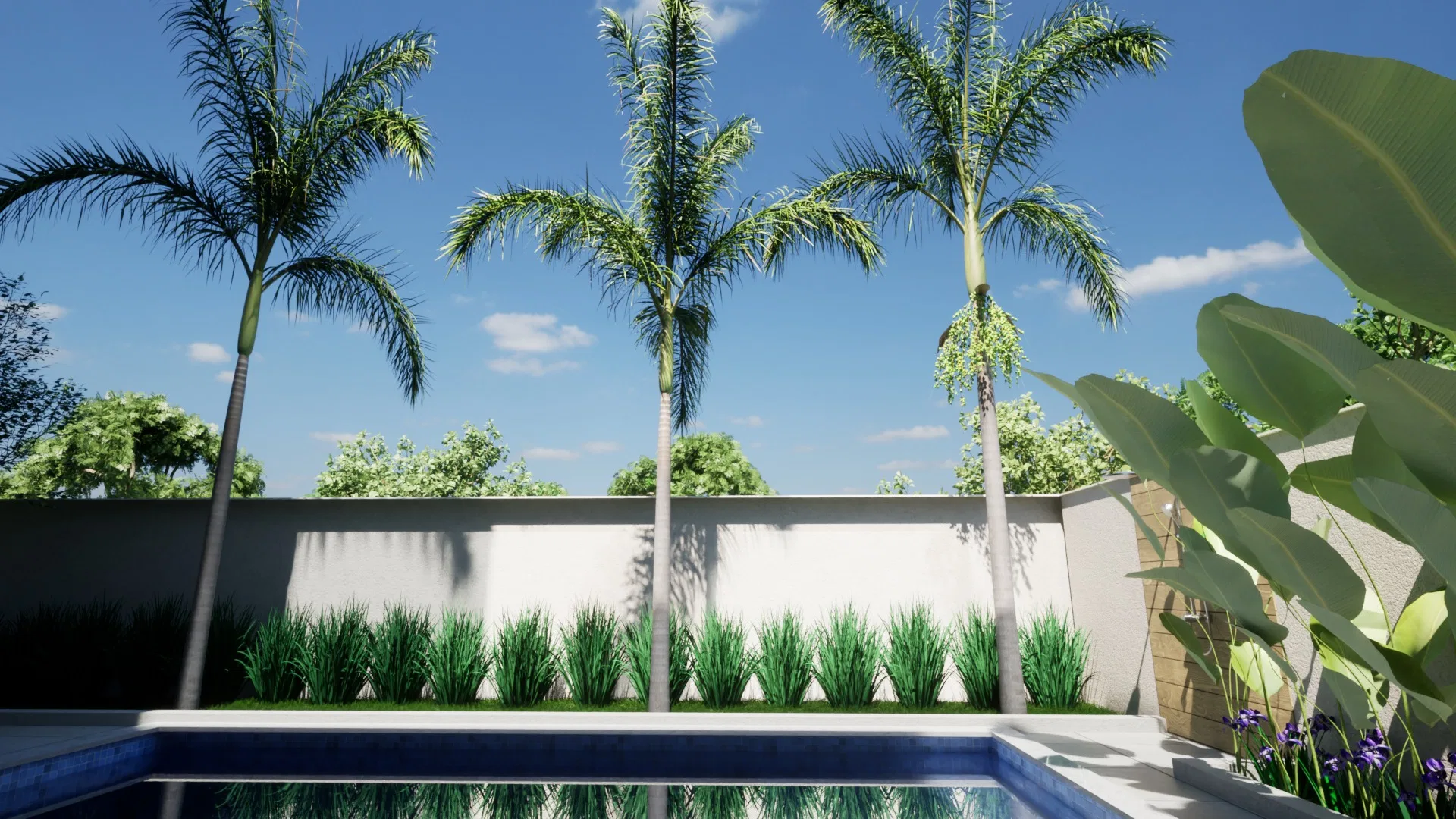 Low view of three imperial palms against the sky, grasses aligned along the wall and broad leaves on the right