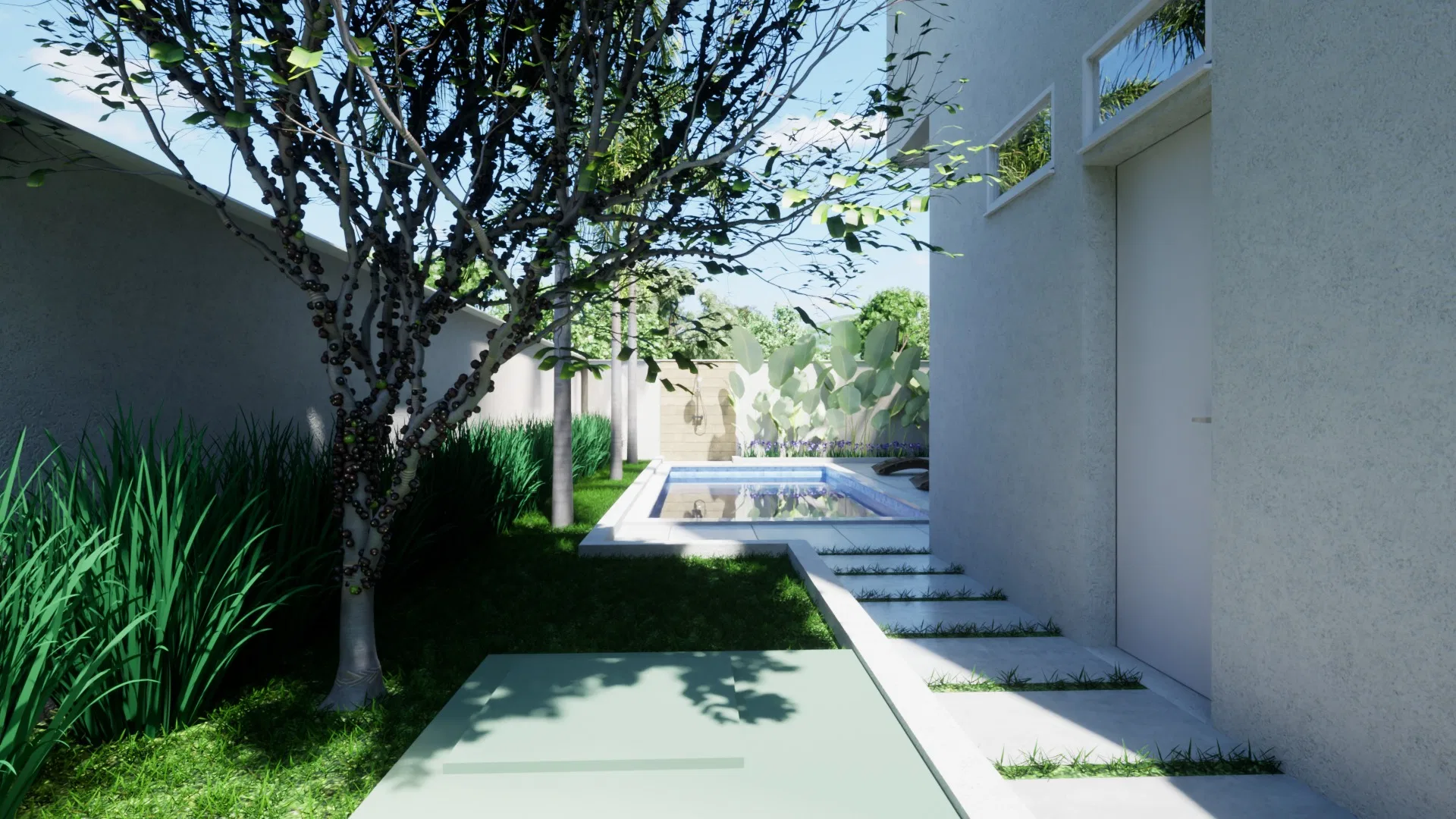 Shaded side corridor with a leafy tree, tall grass and a stepping-stone path leading to the pool along the pale facade