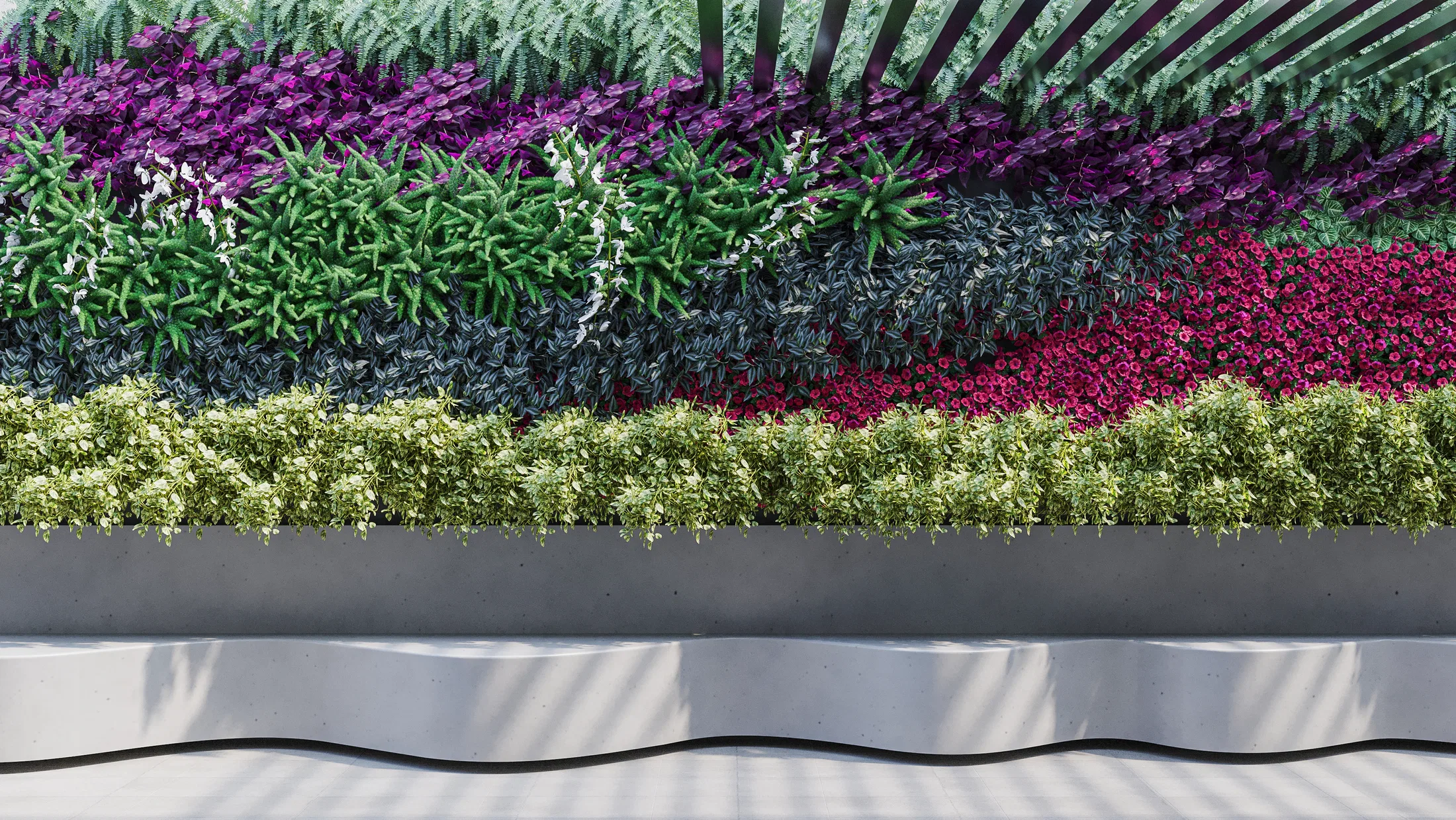Close-up of the vertical garden wall with bands of green foliage, magenta and purple flowers and a fringe of ferns