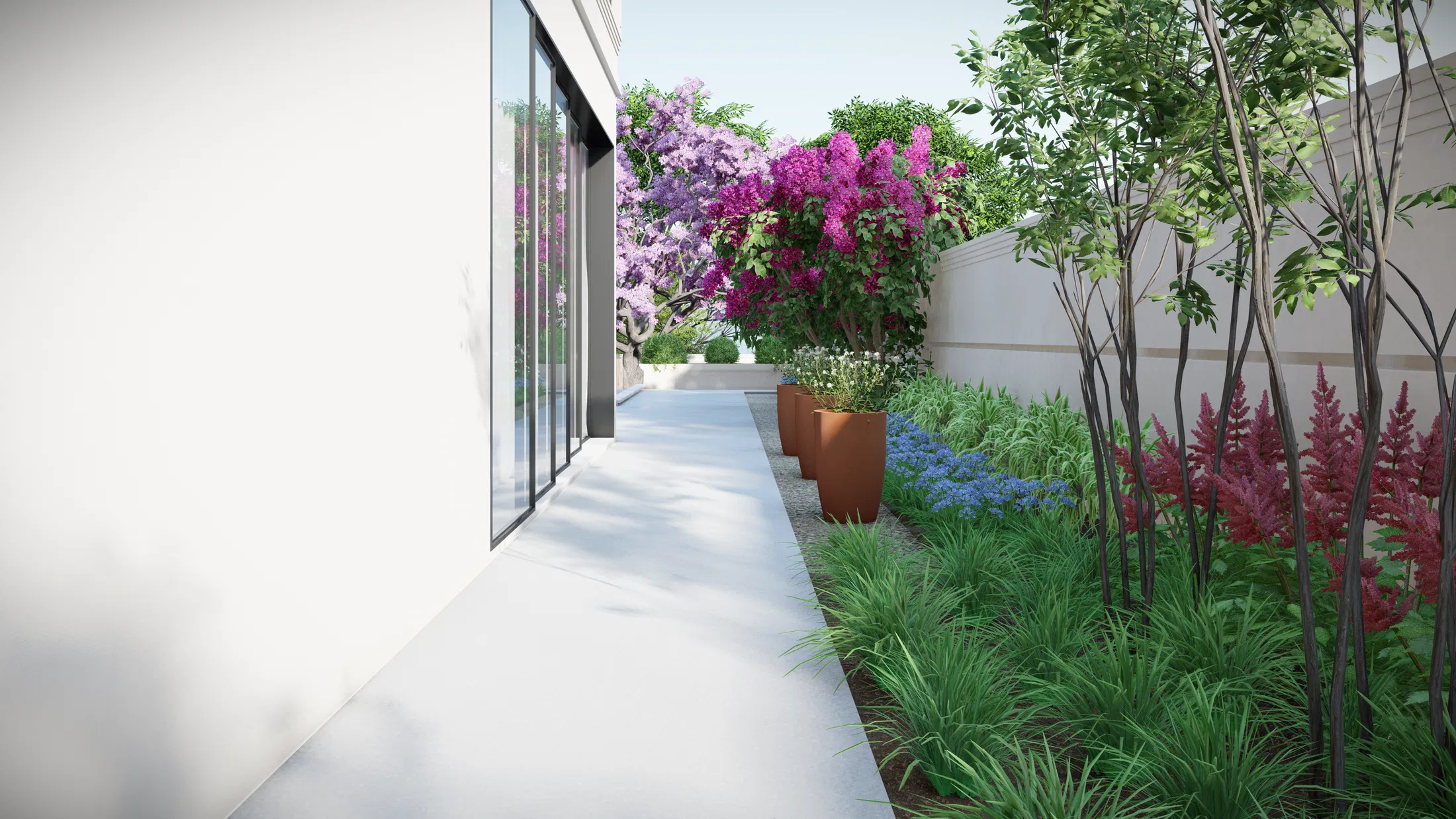 Walkway beside glass doors, lined with terracotta pots, pink and purple flowering shrubs and ornamental grasses