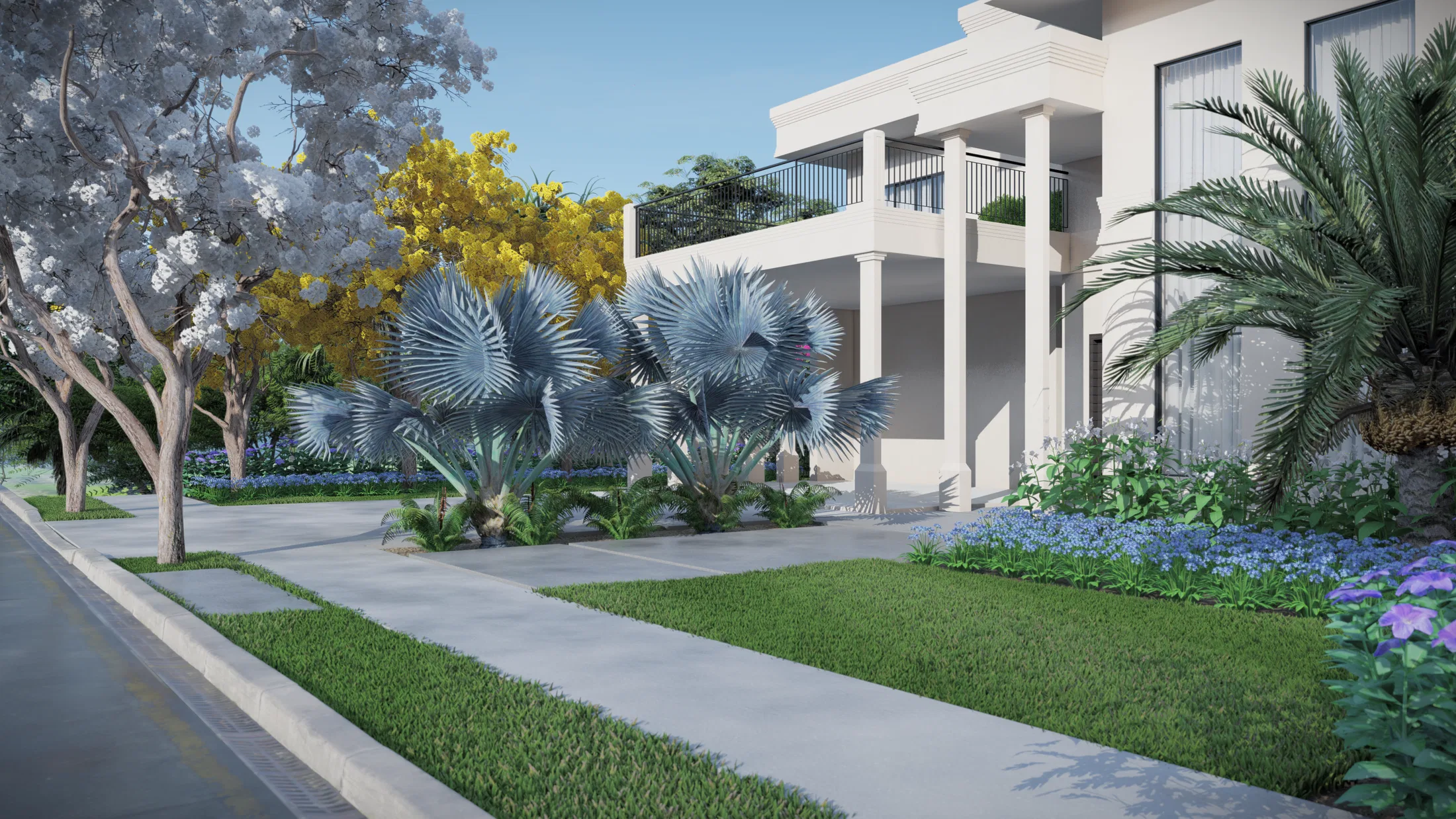 Columned white facade with an entrance framed by white and yellow flowering trees and blue Bismarckia palms above the paved driveway
