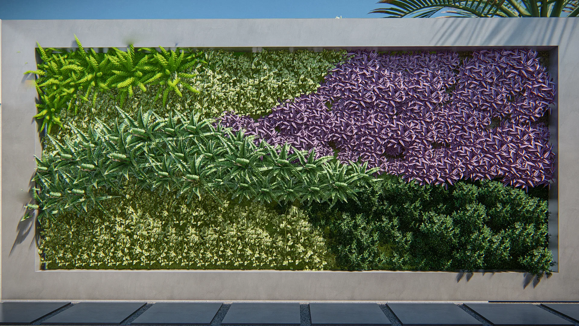 Close-up of the vertical garden wall with a diagonal composition of dense green, purple and yellow foliage