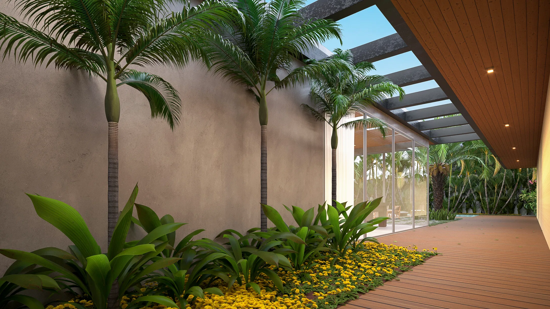 Walkway covered by a slatted pergola with recessed lighting, three palms in a bed of dracaenas and yellow ground cover over a timber deck