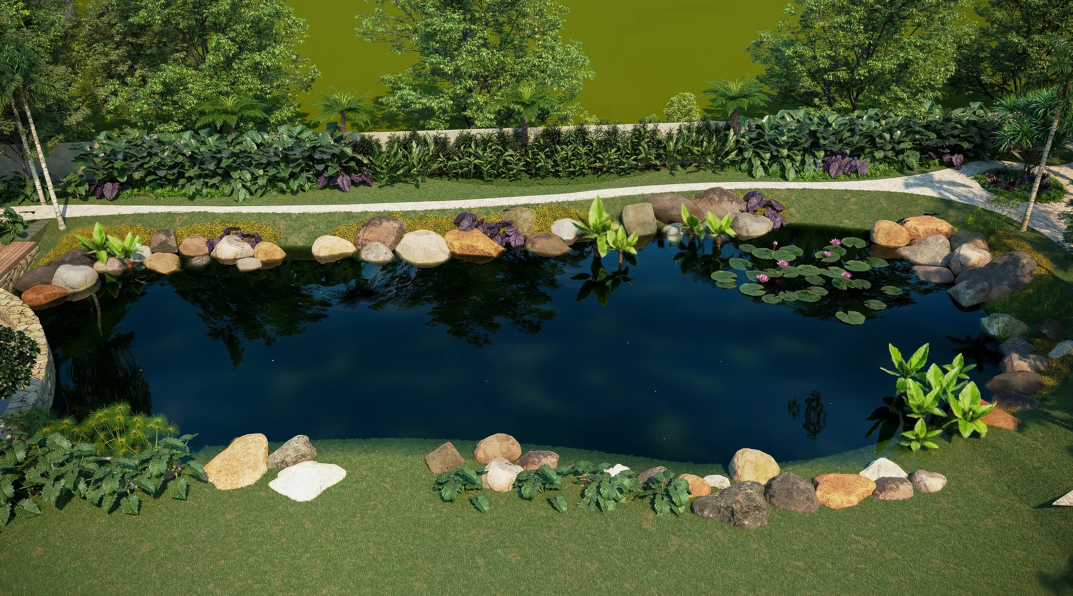 Aerial view of the dark water mirror with pebble edges, lily pads and lotus and dense planting all around