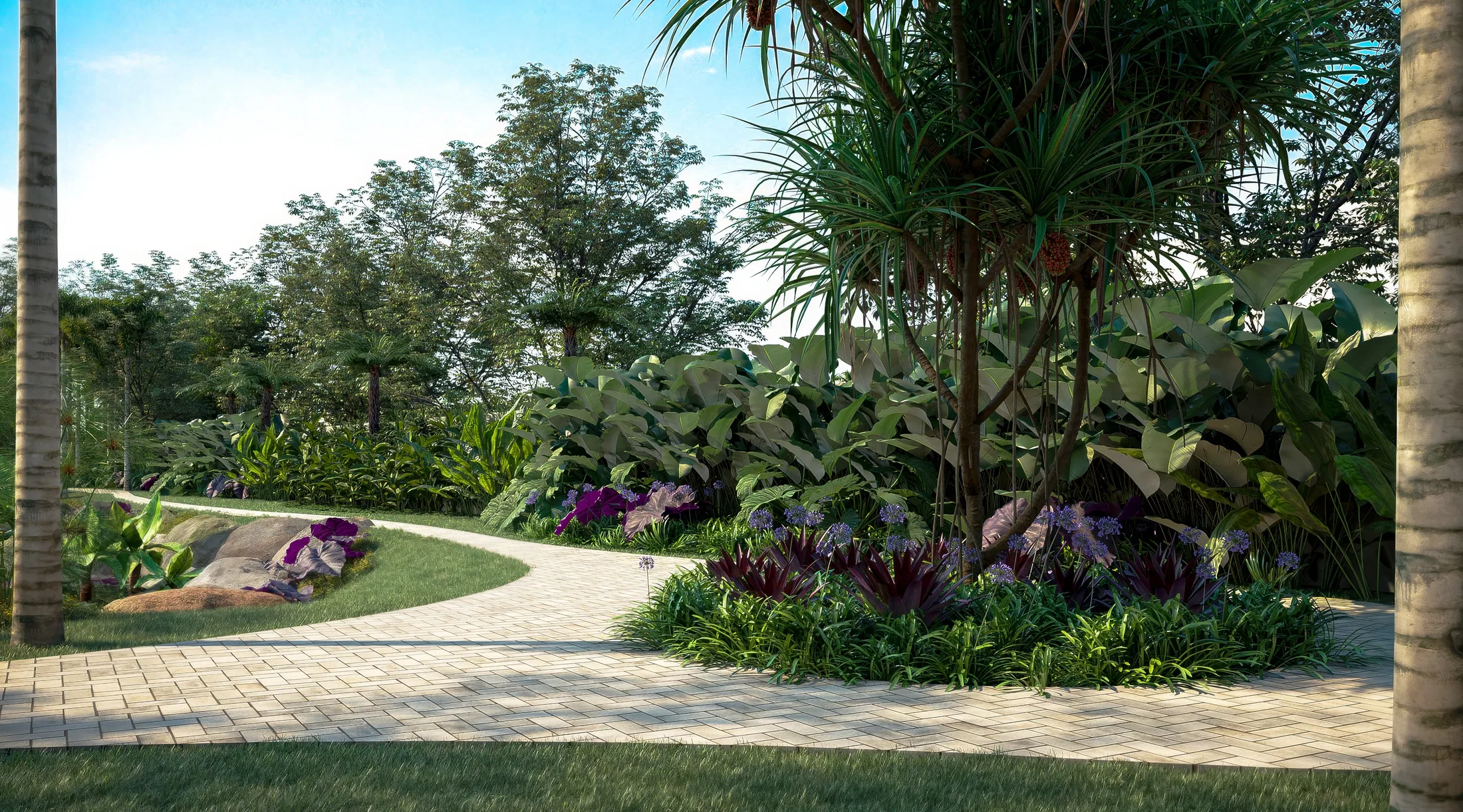 Winding paved path crossing the tropical garden, with a dracaena, agapanthus and purple bromeliads among broad foliage