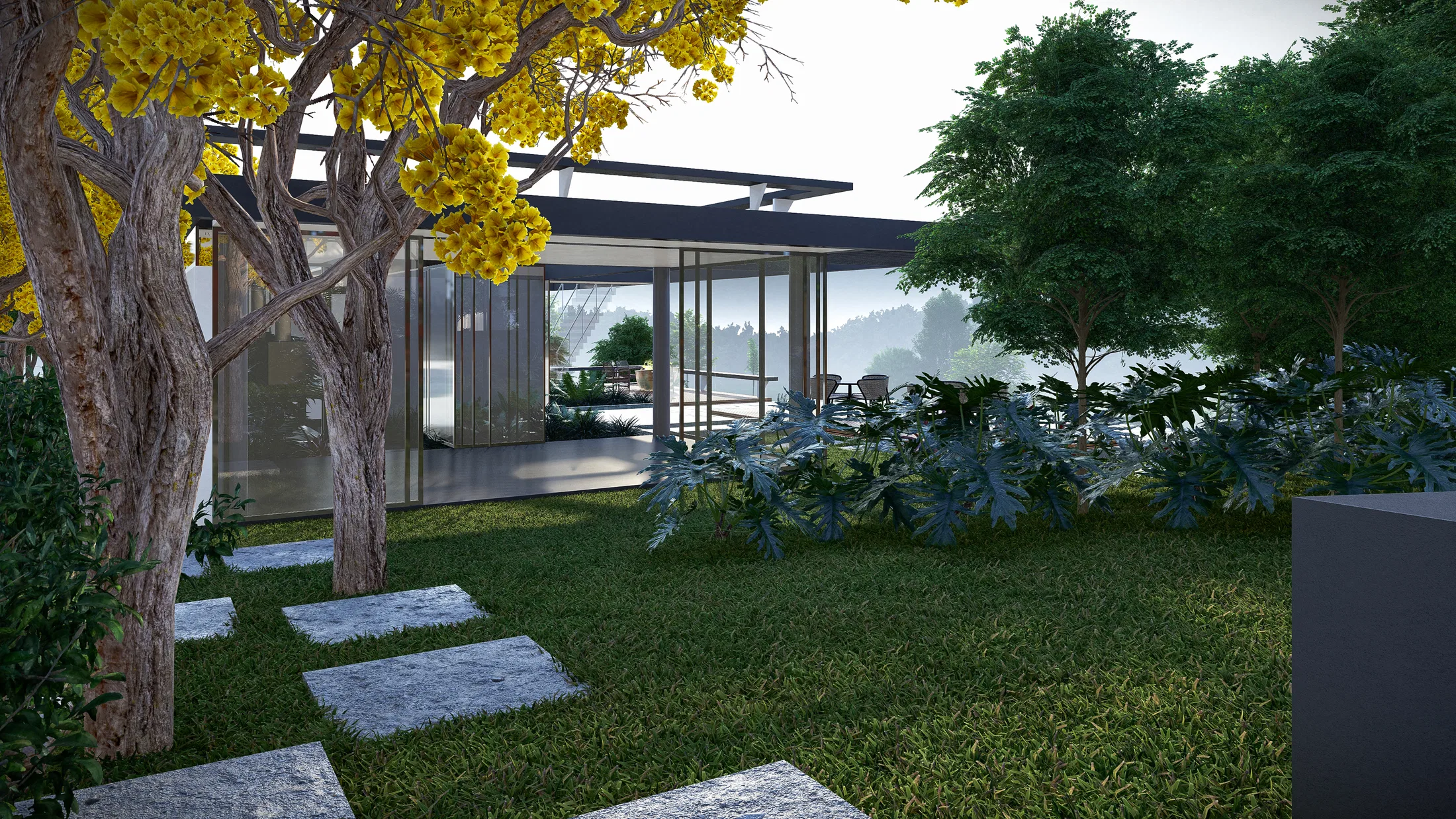 Side garden with a flowering yellow ipê and a concrete-paver path over the lawn, facing the glass pavilion in the background