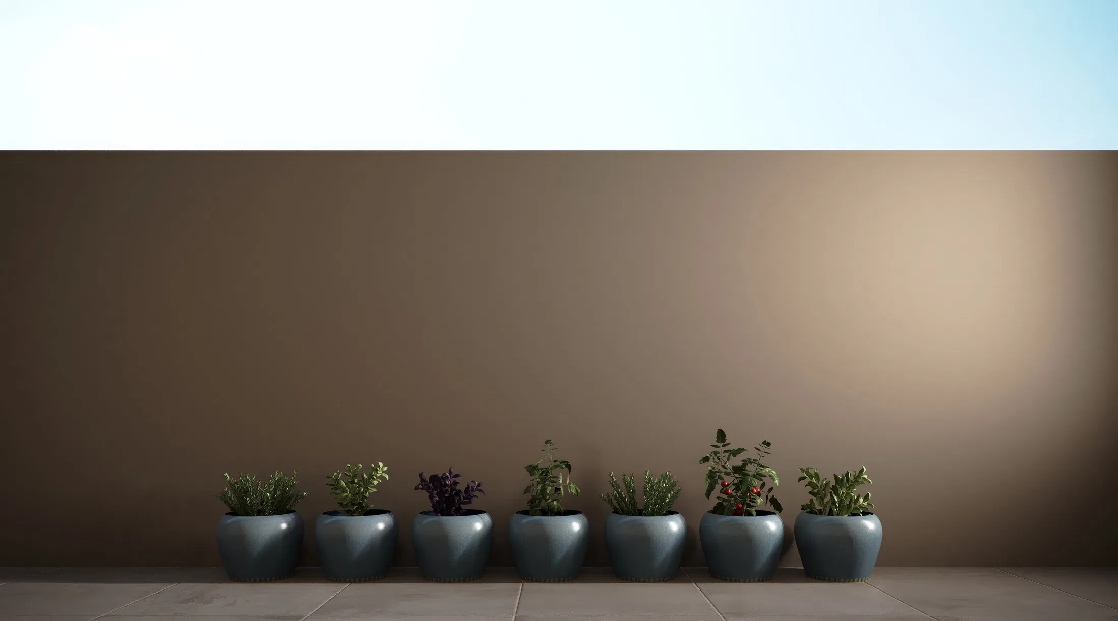 Row of seven glazed ceramic pots holding small herbs lined up against a plain earth-toned wall