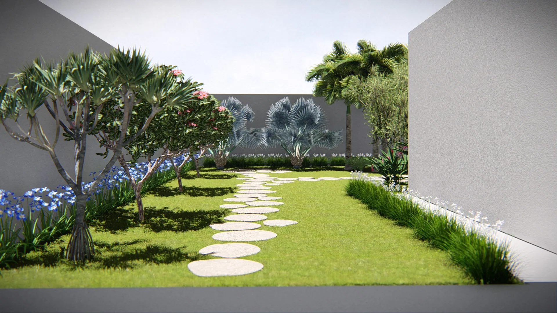 Walled outdoor garden with lawn, a path of round stepping stones, shrubs flowering in pink and blue and fan palms behind