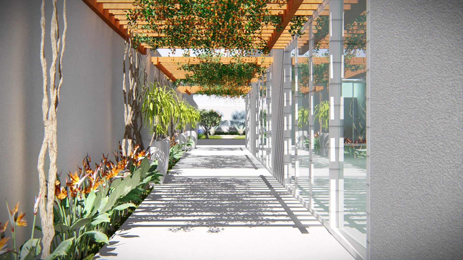 Corridor shaded by a wooden pergola of flowering vines, a glazed wall, planters of foliage and a path under filtered light